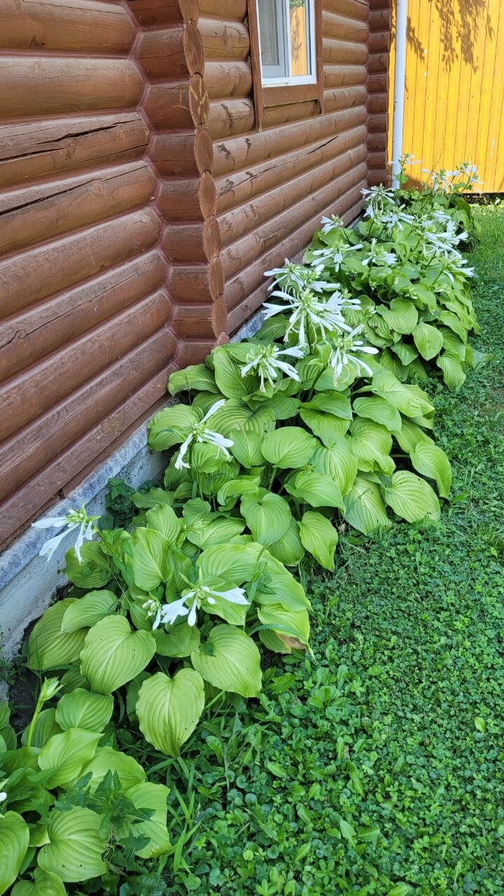 Фото Околица