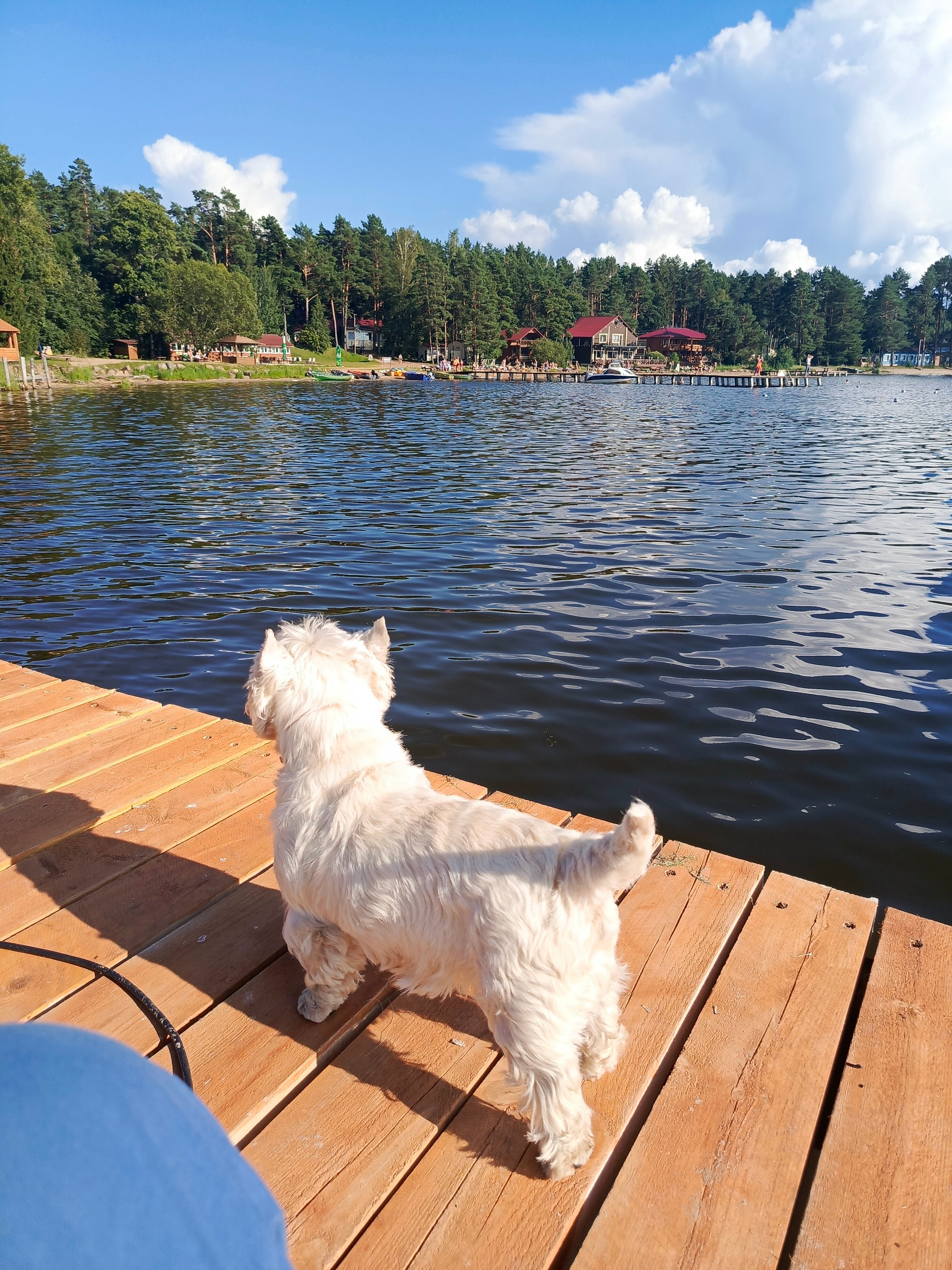 Фото Тридевятое Царство
