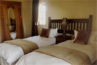 Фото Fox and Squirrel