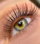 DamaMagnetica Lash (Leningradskiy Avenue, 78к3) ، صالون تجميل
