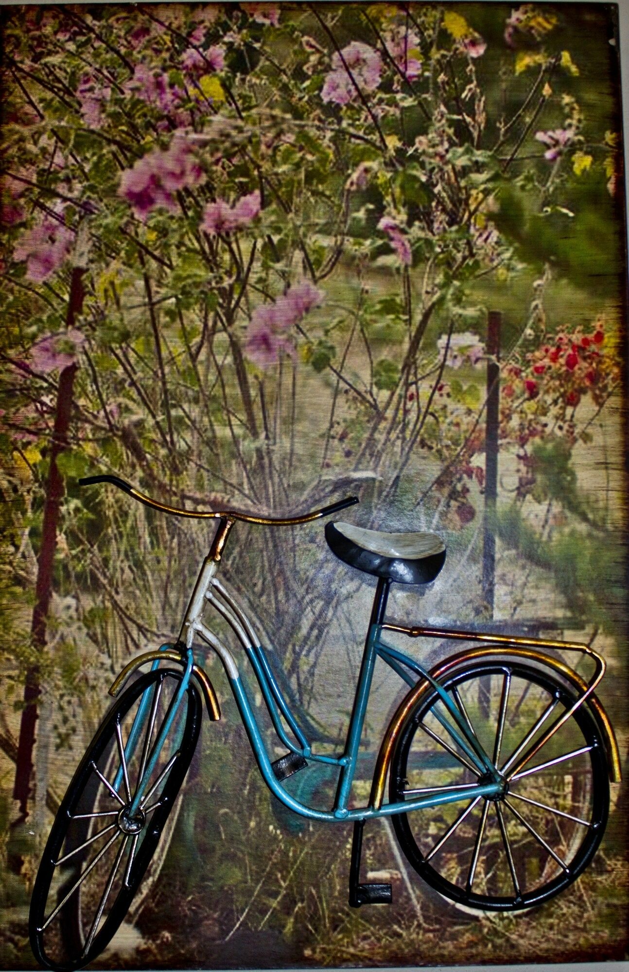 Фото Sunrock Guesthouse