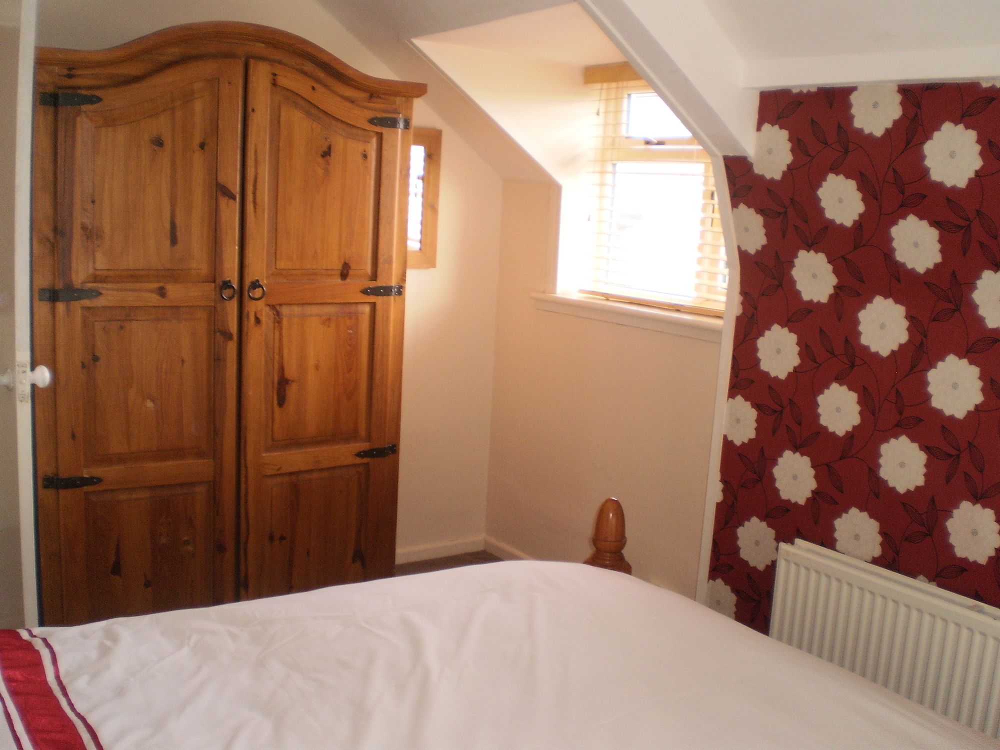 Фото The Pebbles