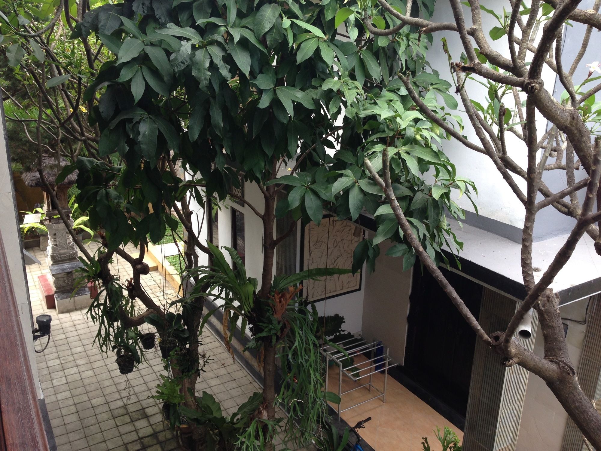 Фото Double N Guesthouse