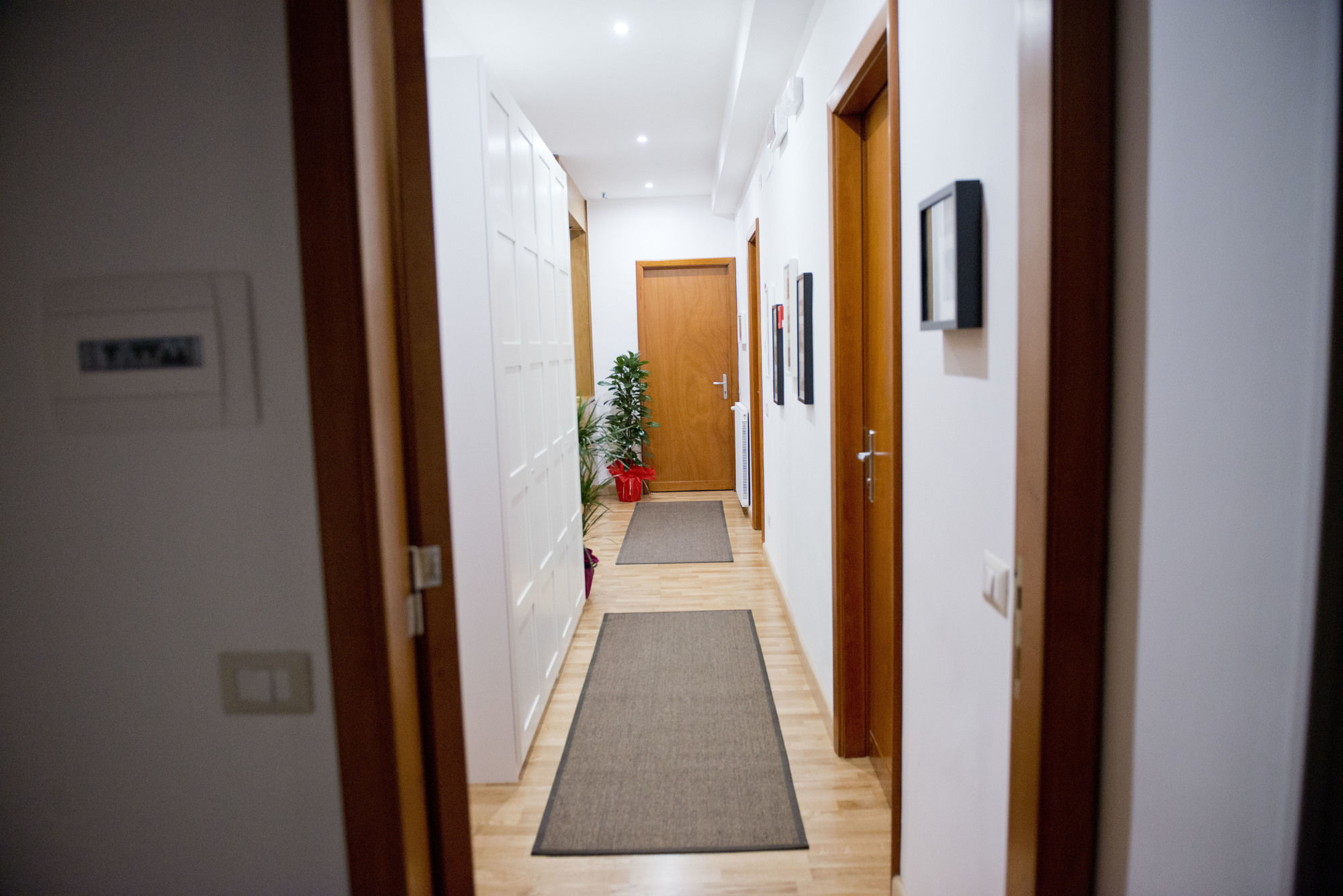 Фото Garibaldi R&b