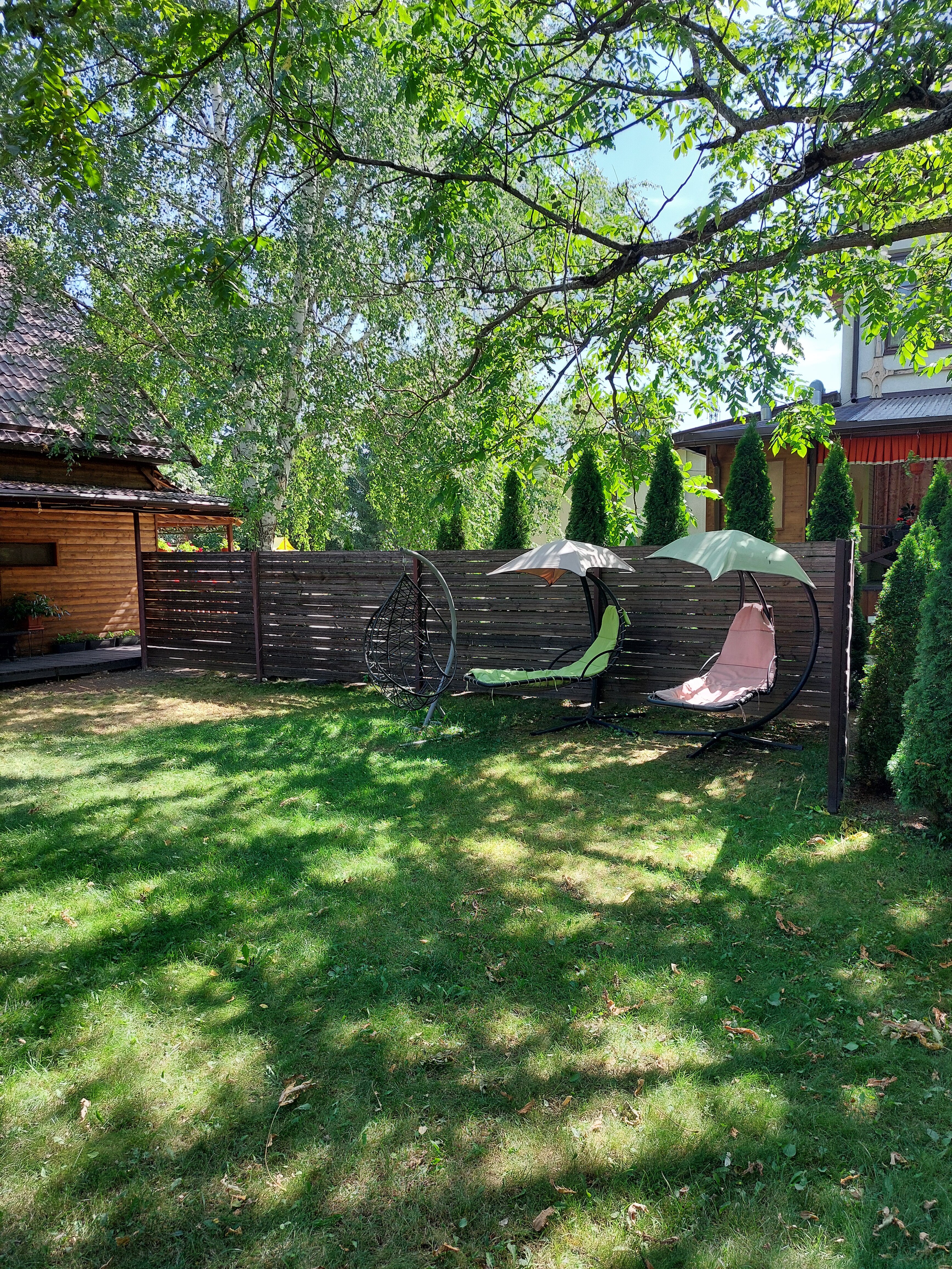 Фото Березки