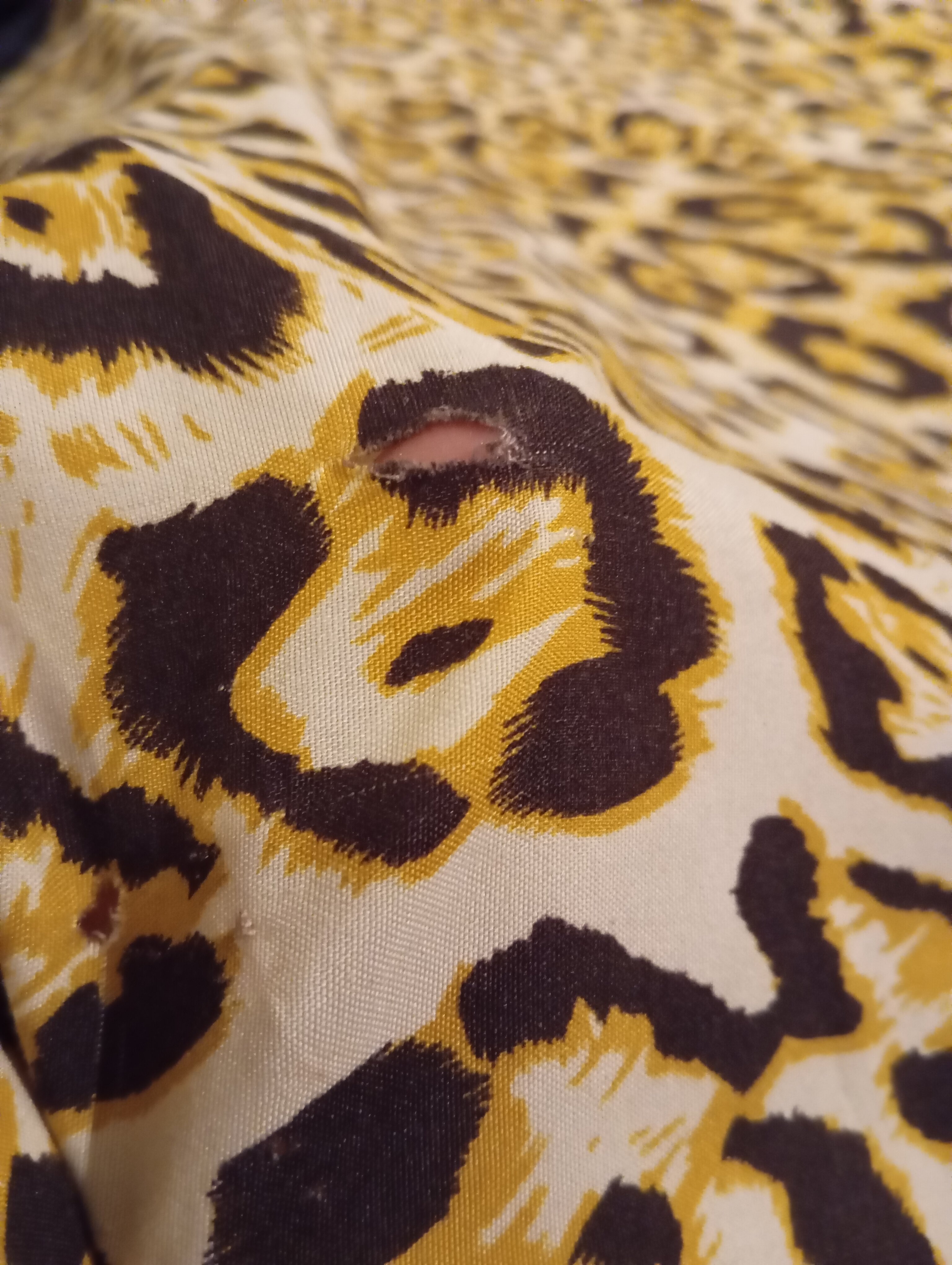 Фото Marton Вилла Марс