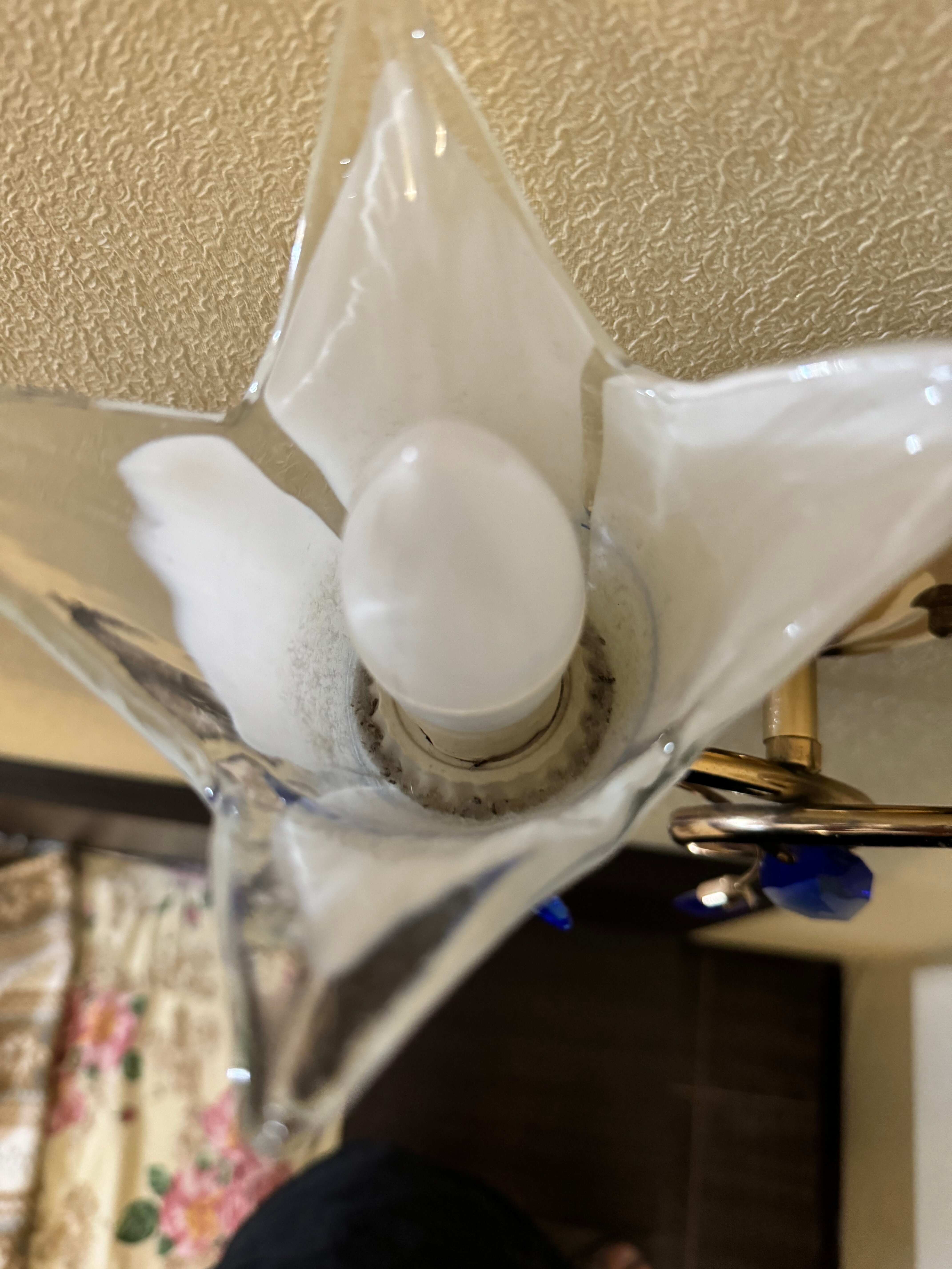 Фото Гостевой дом Черноморская 2