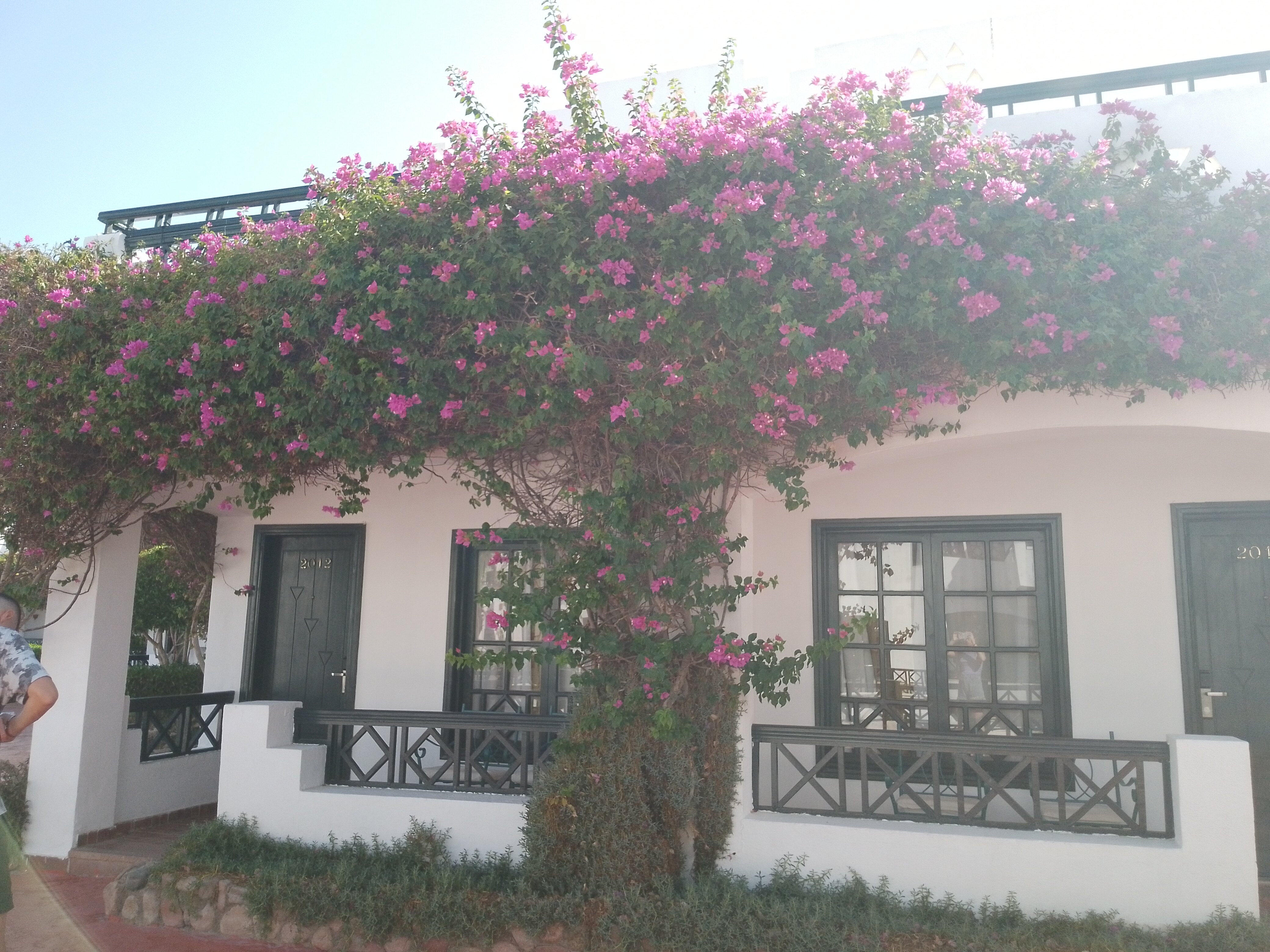 Фото Verginia Sharm Resort & Aqua Park