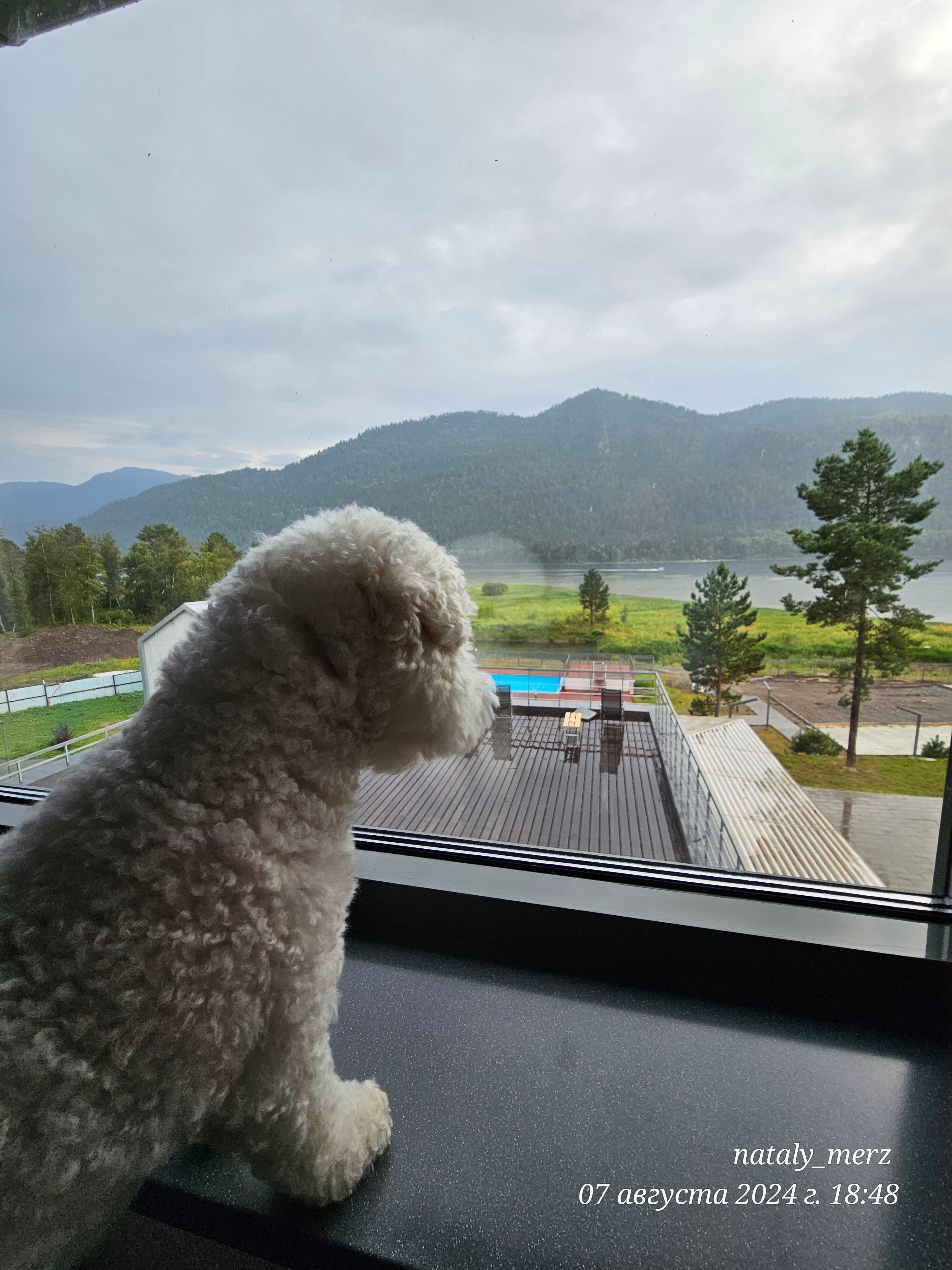 Фото Ойер Парк Отель