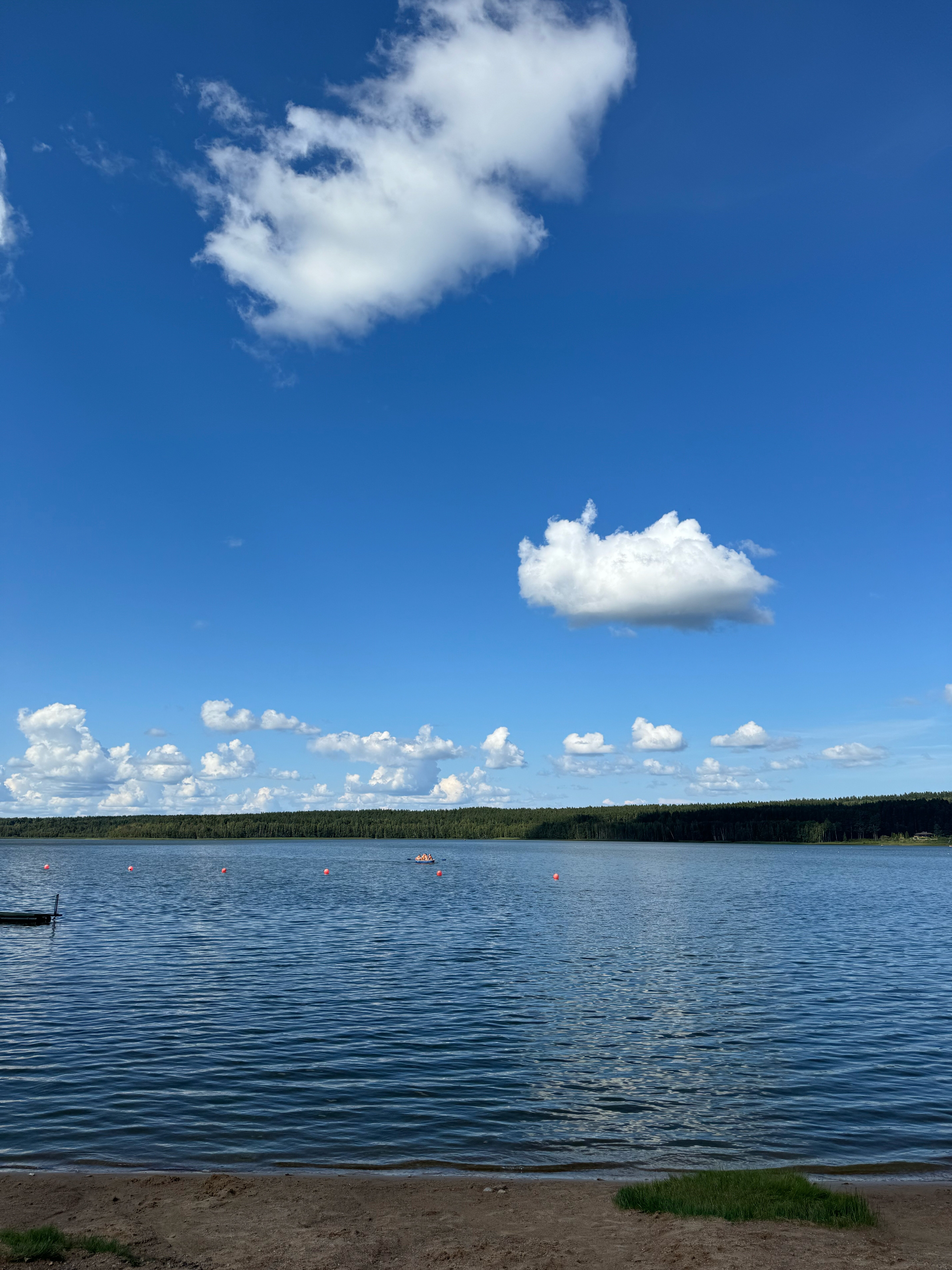 Фото Мята. Club