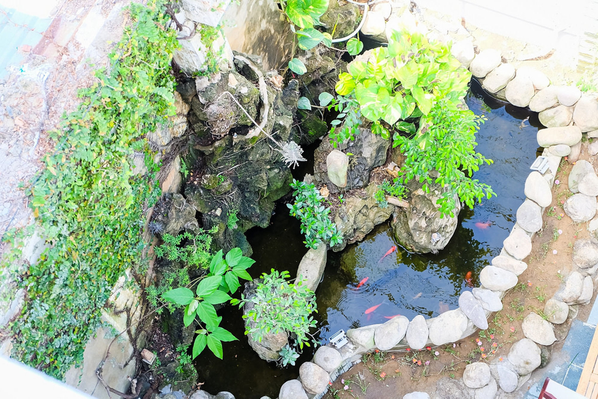 Фото Unity Villa Hoi An