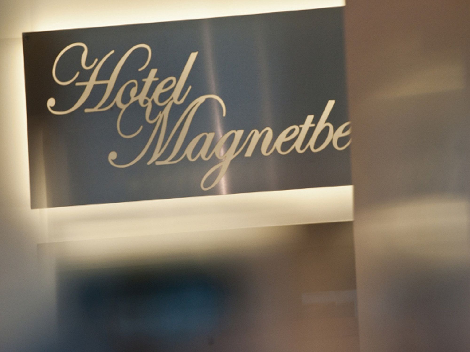Фото Hotel Magnetberg Baden