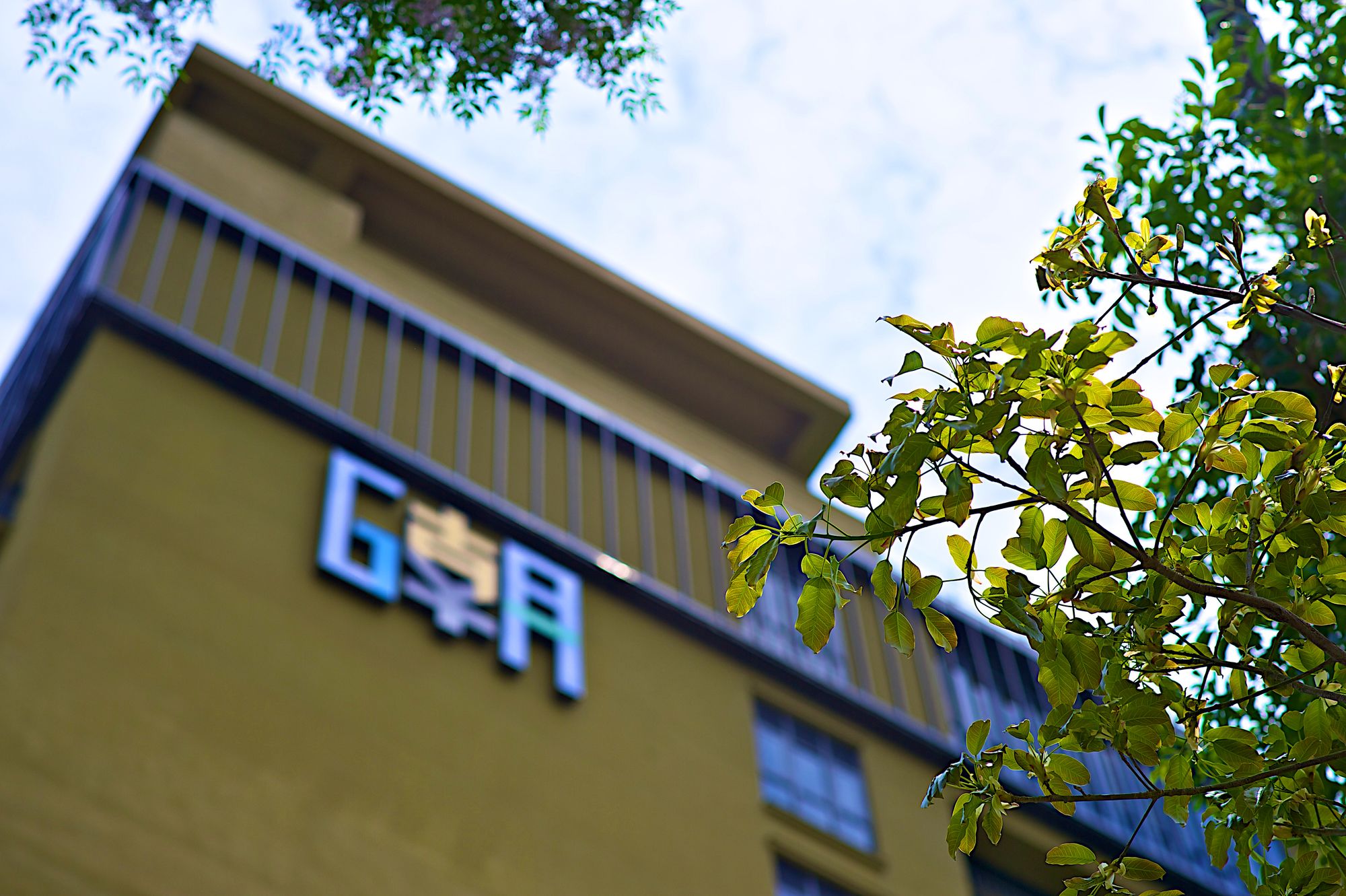 Фото The Gaya Hotel