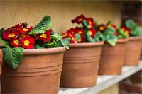 Фото Il Relais dell'Abbazia