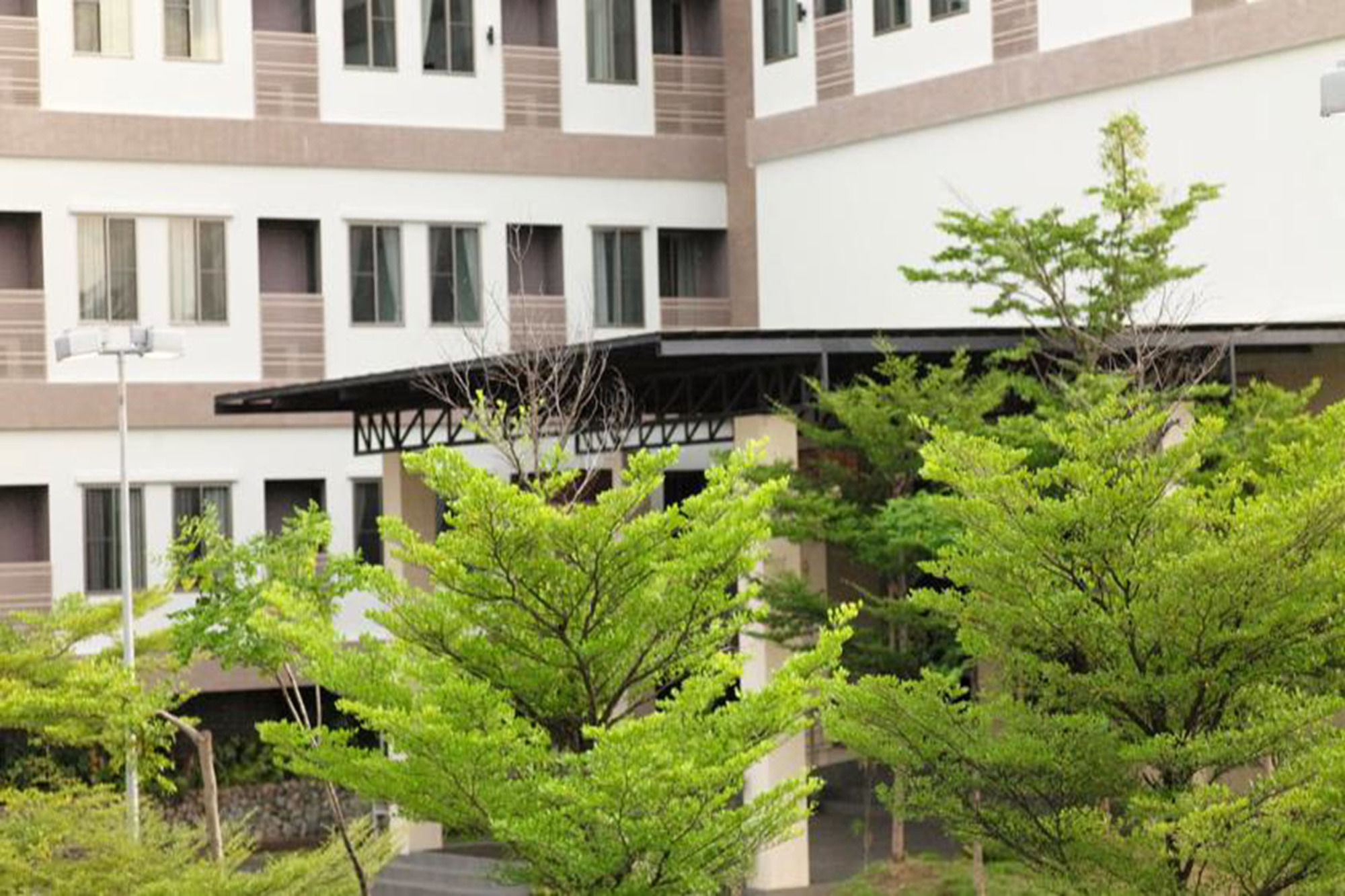 Фото J. Park Hotel