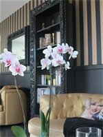 Фото La Villa Cannes Croisette