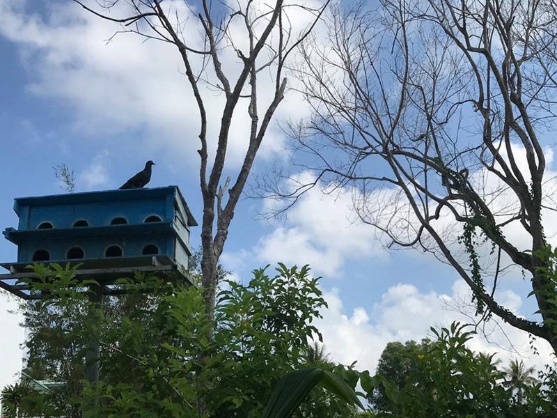 Фото Countryside Resort Phu Quoc