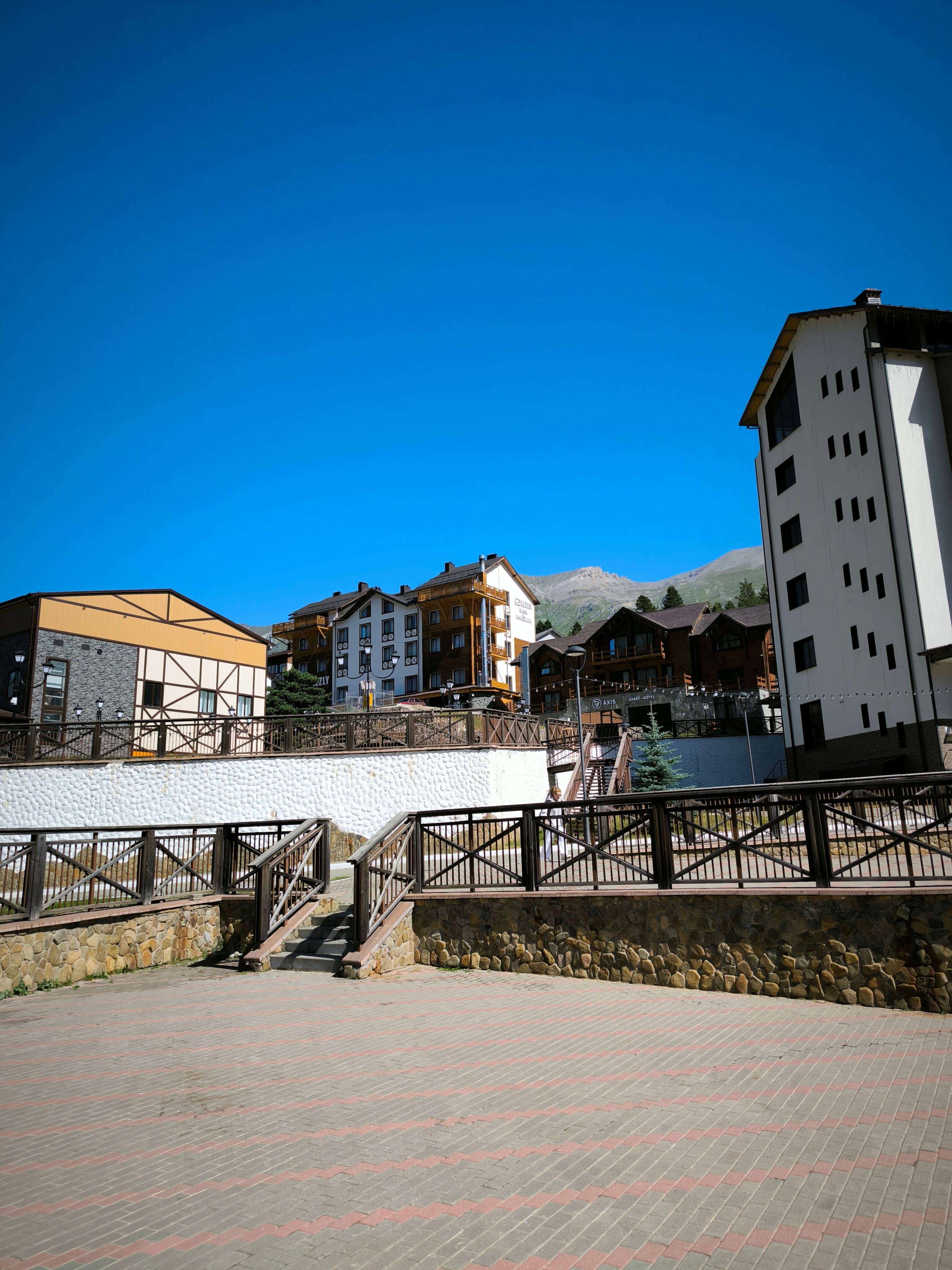 Фото Гризли