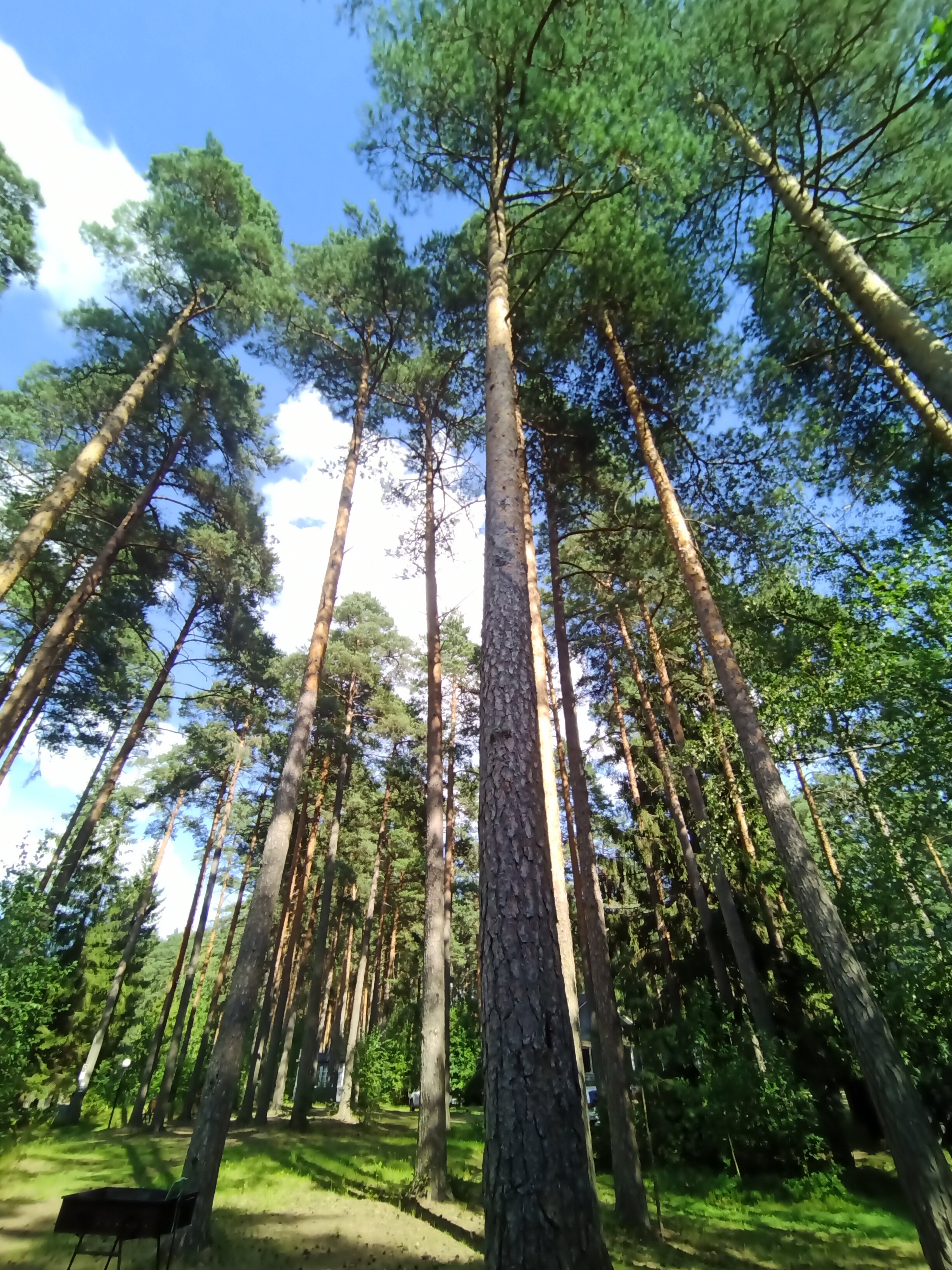 Фото Искатель