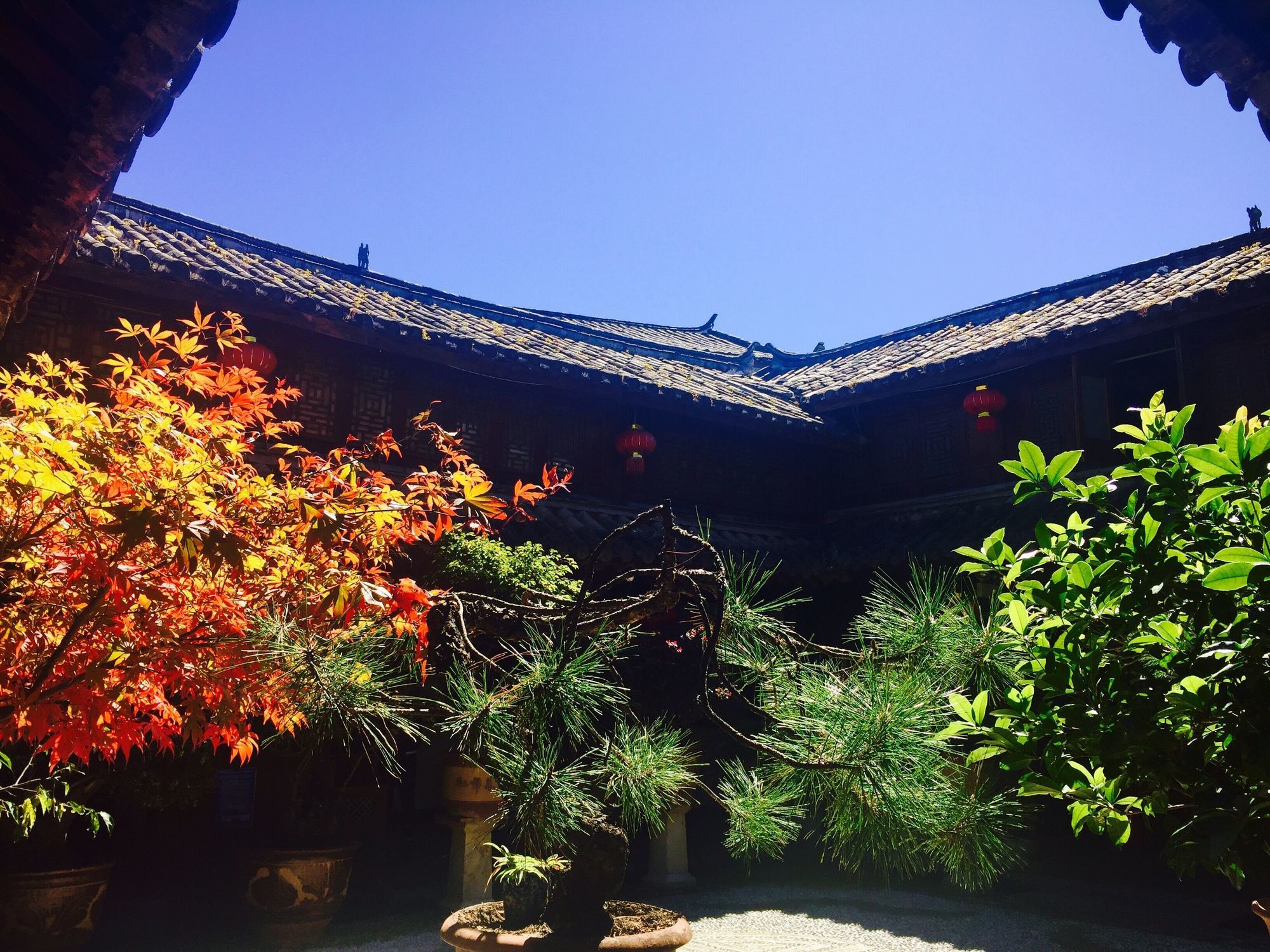 Фото Lize Graceland Artistic Suite Inn