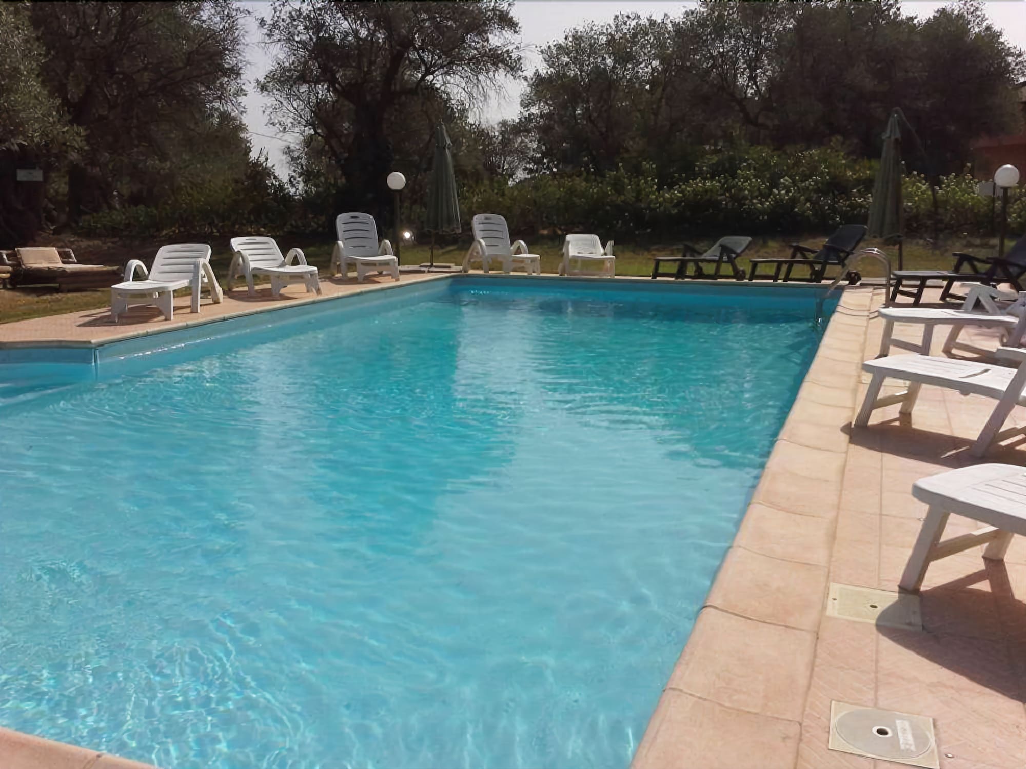 Фото La Piana degli Ulivi