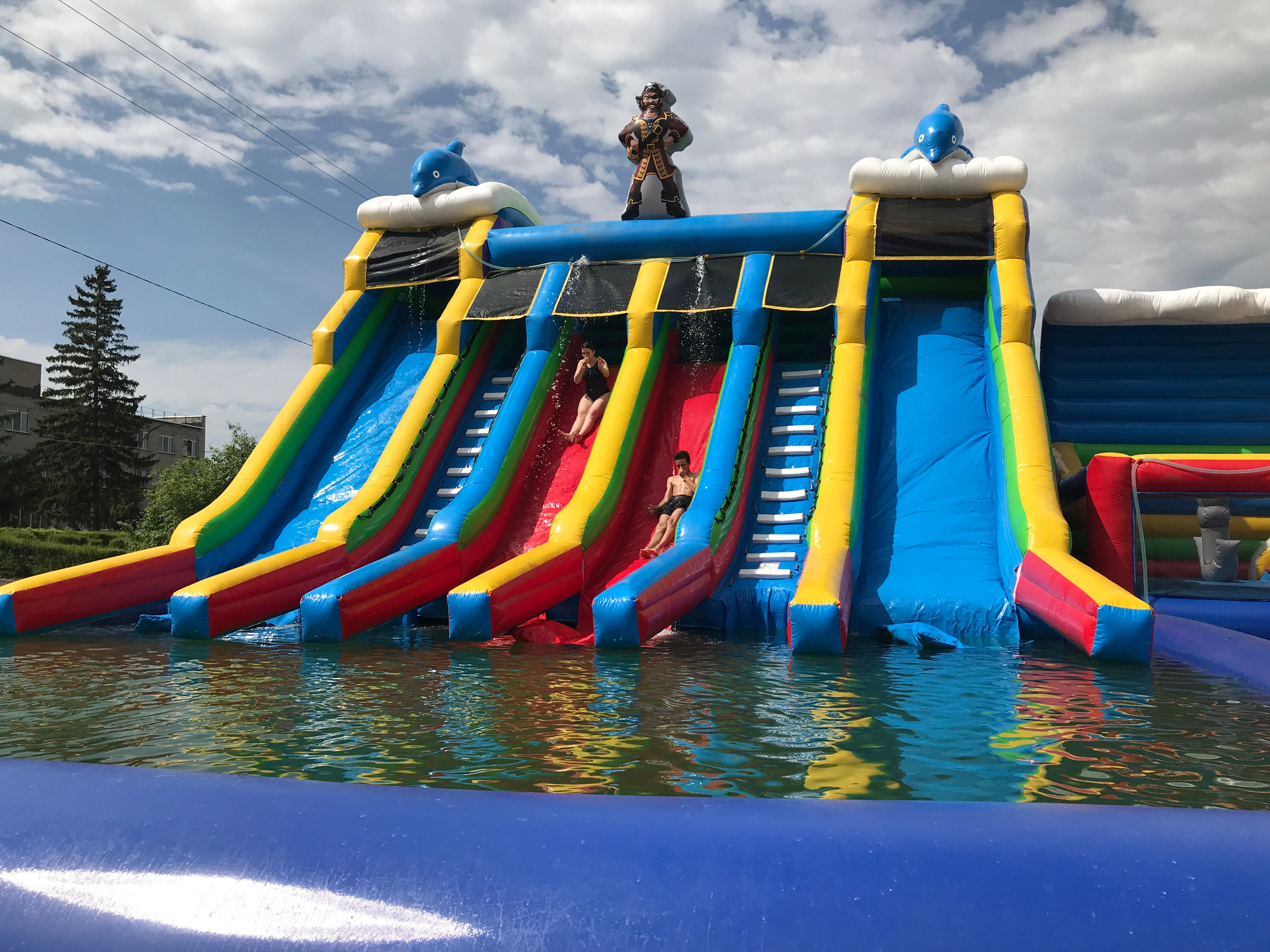 Фото Сосновая роща