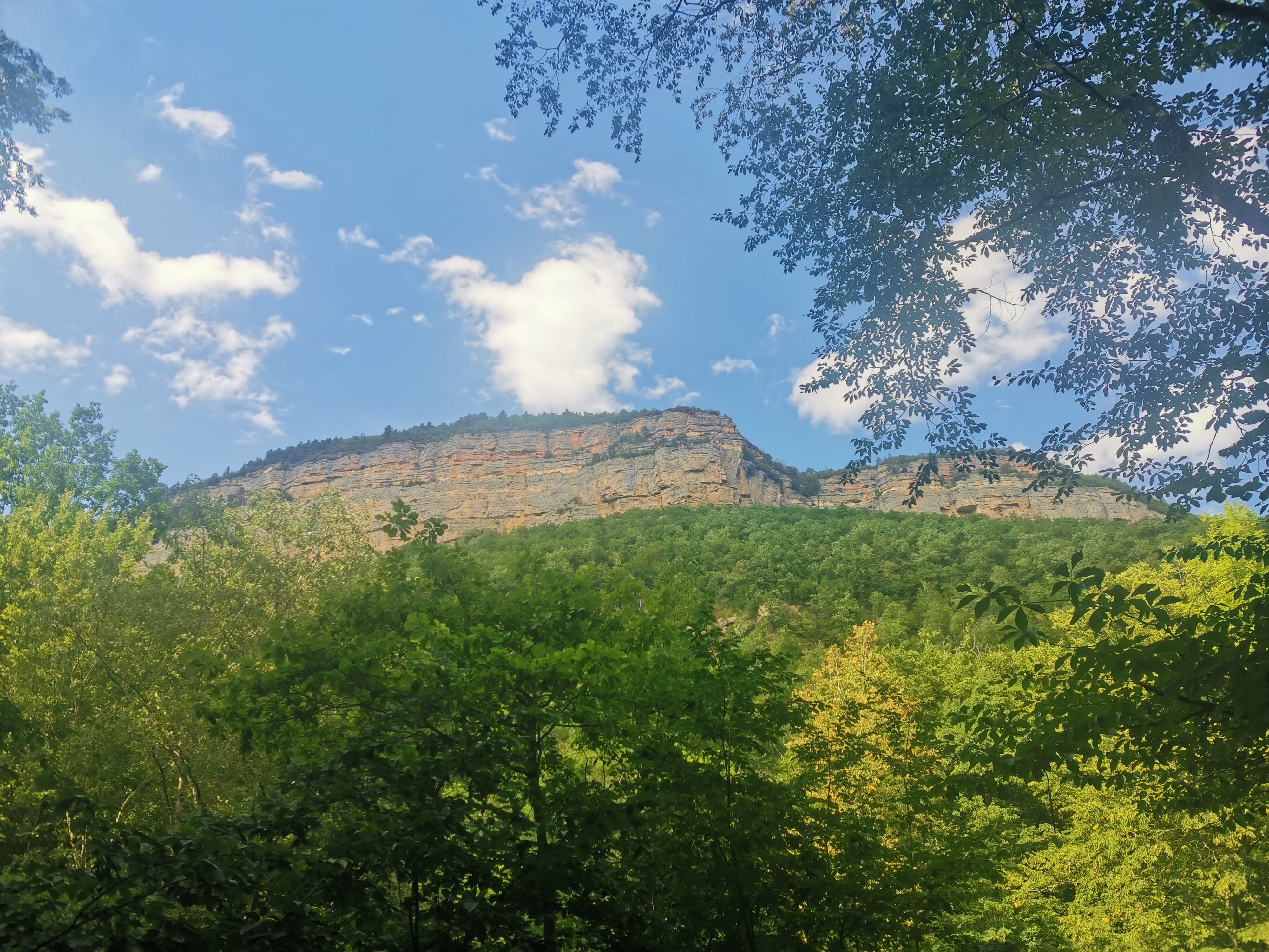 Фото Высокий берег