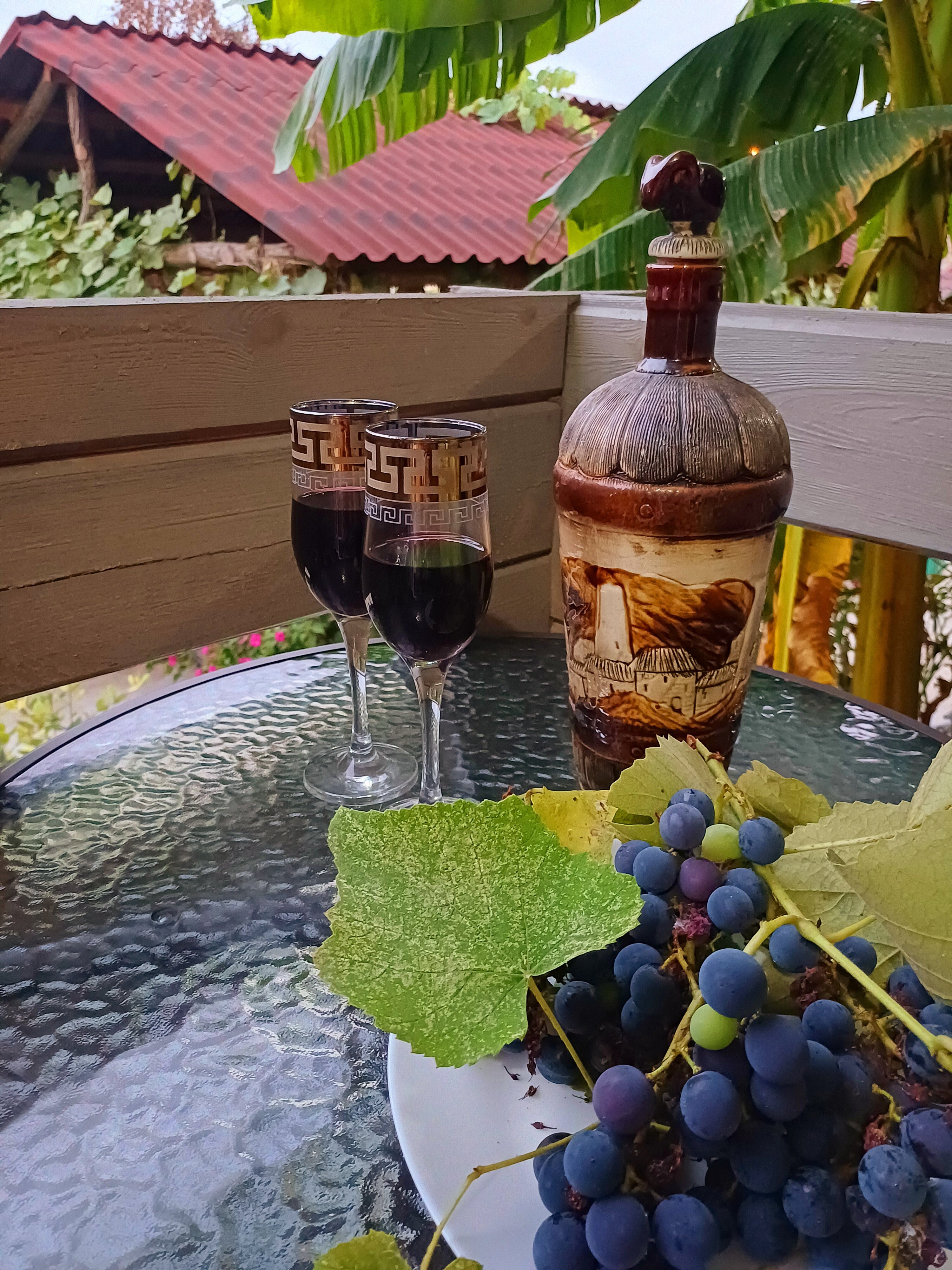 Фото Авокадо