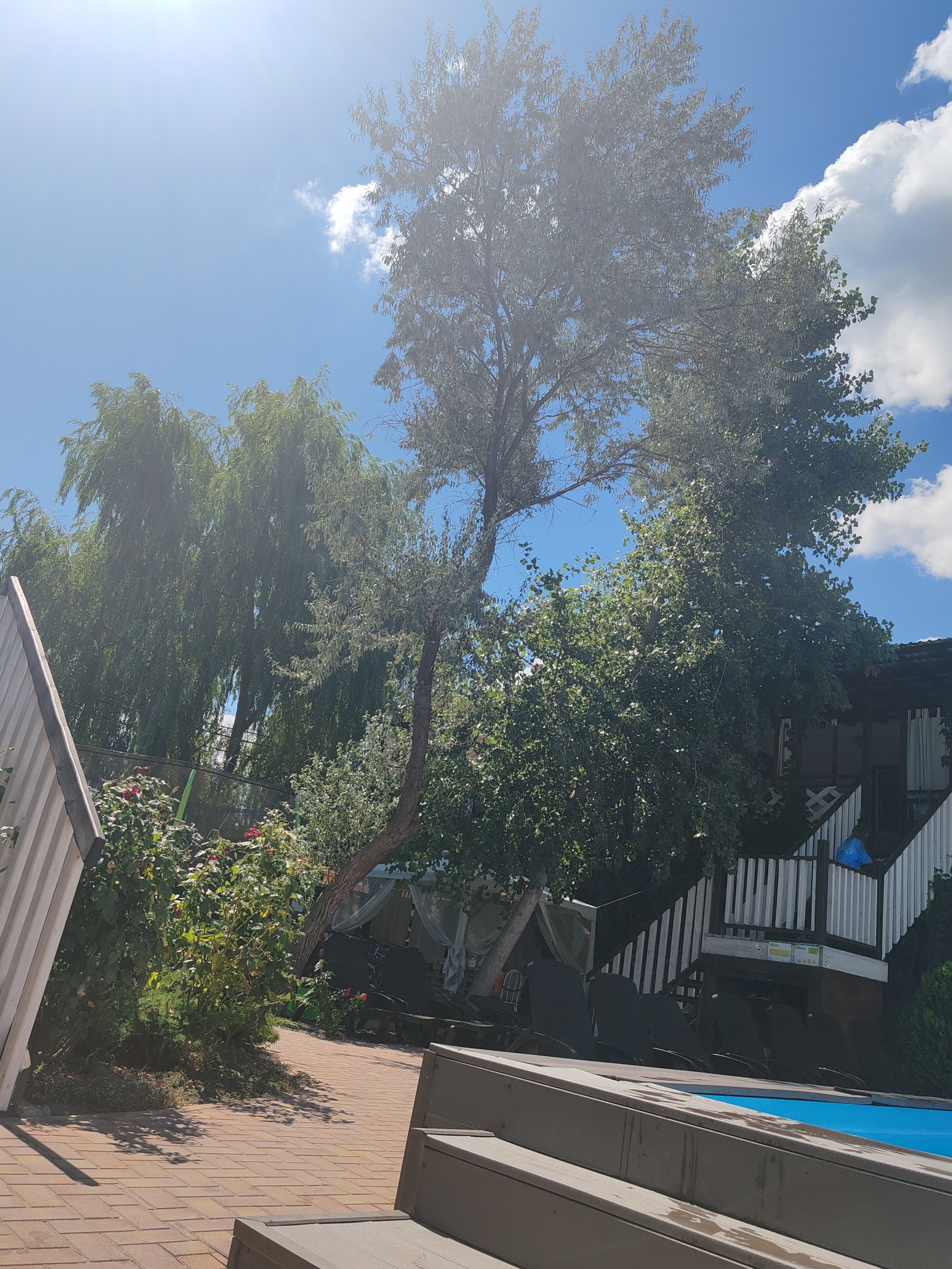 Фото Белая Деревня