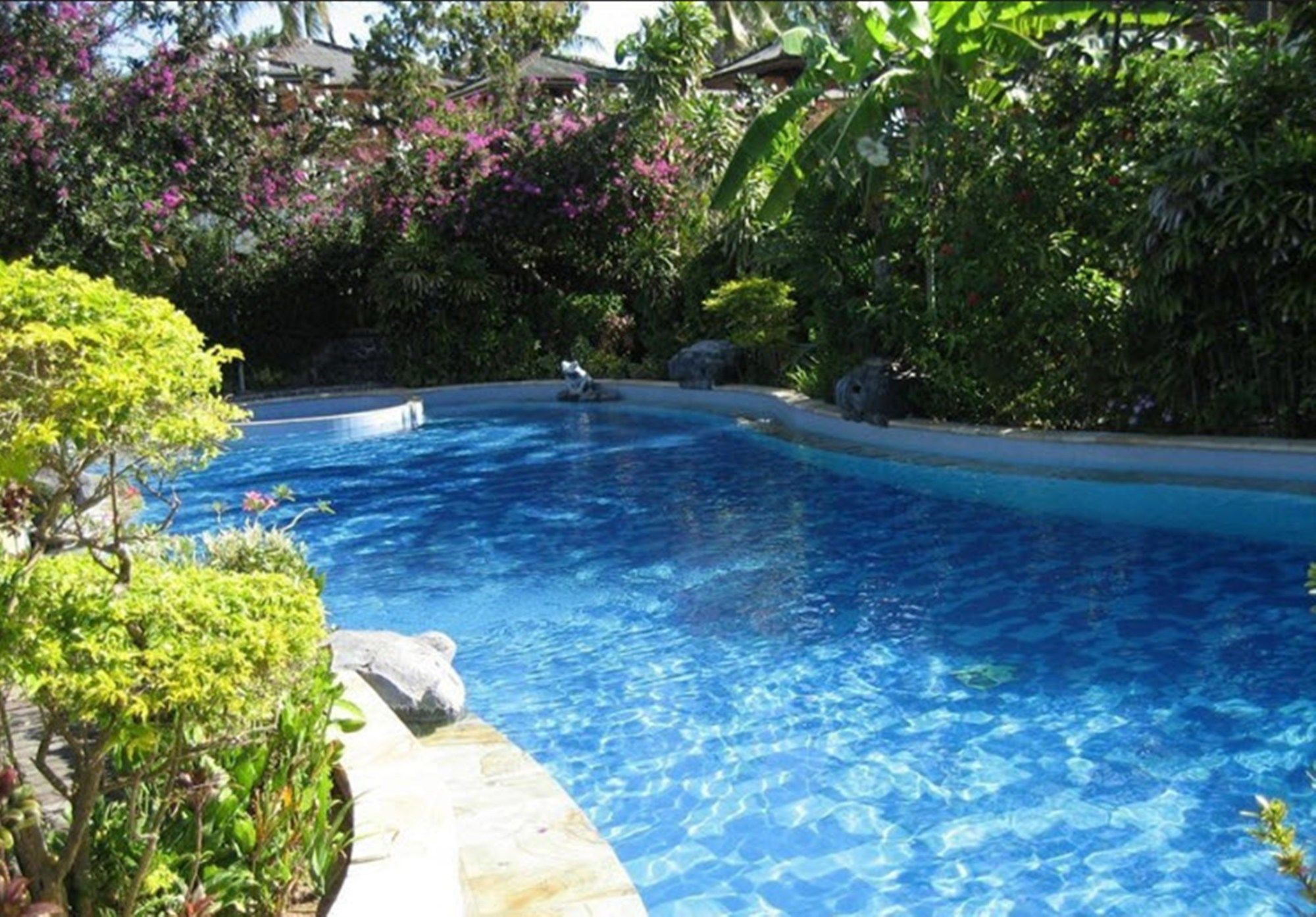 Фото Swastika Bungalows