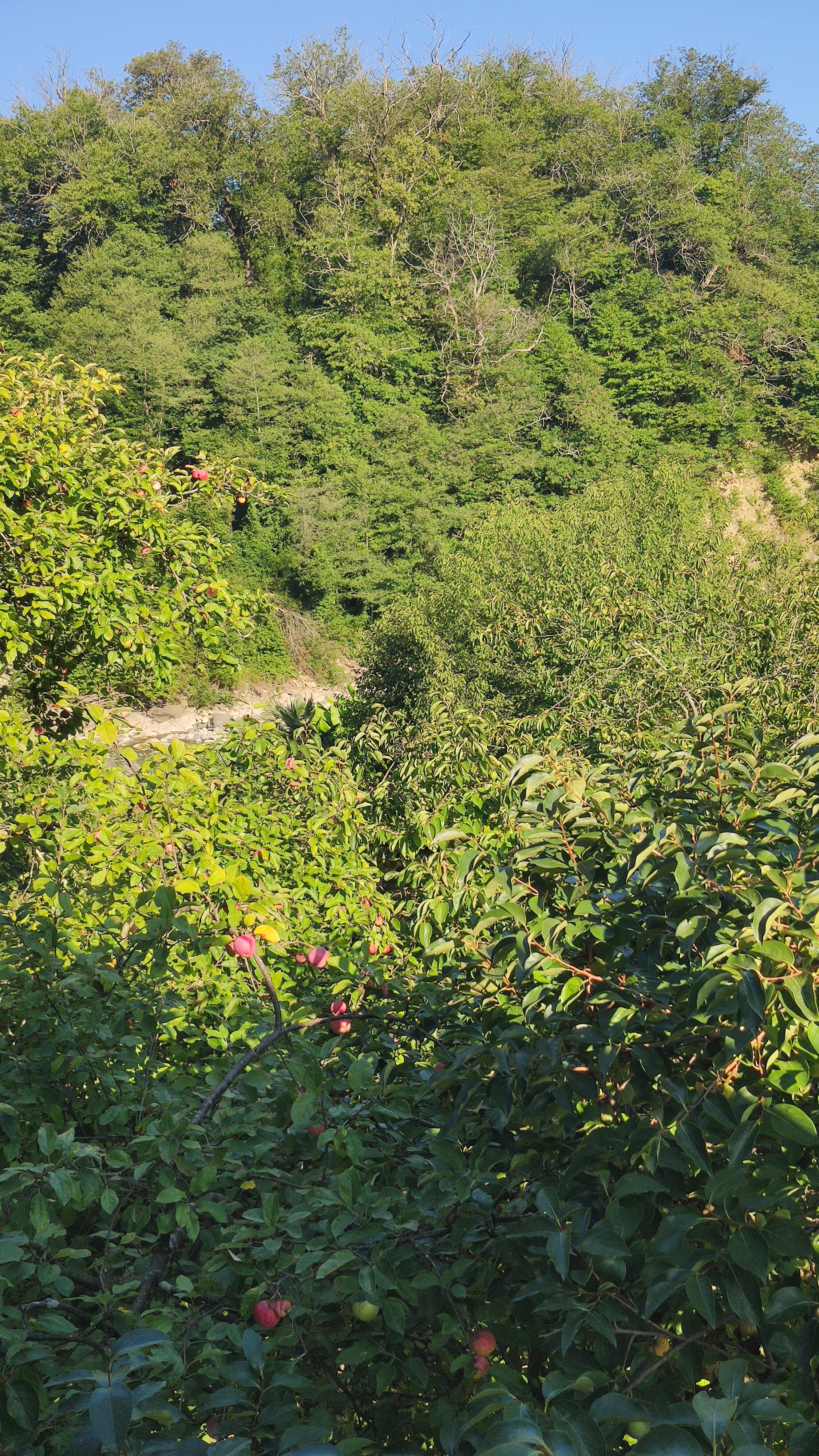 Фото Приют у реки