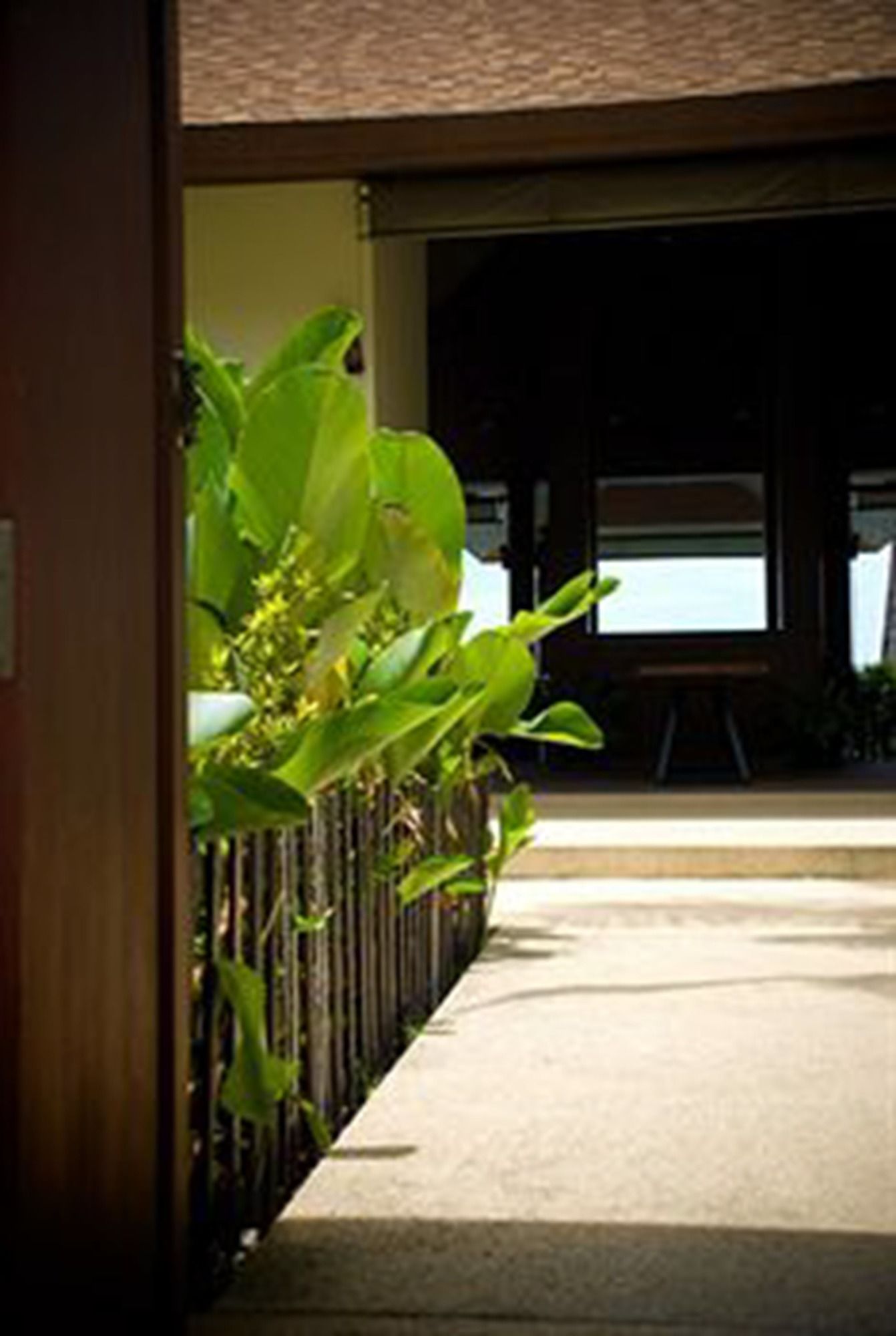 Фото Rin Beach Resort