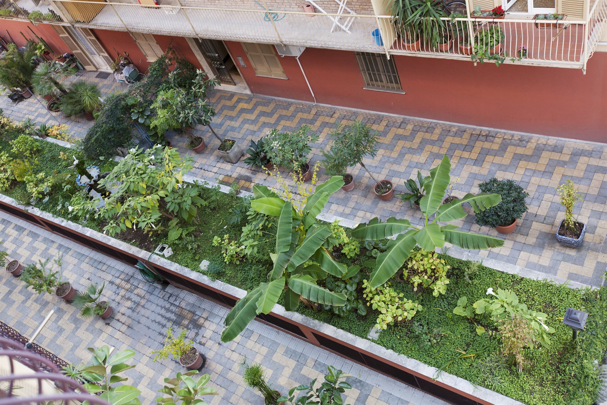 Фото Martini Bed