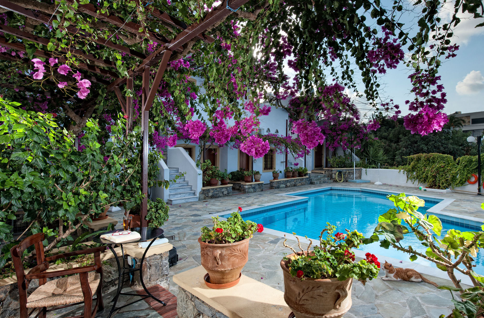 Фото Villa Diktynna