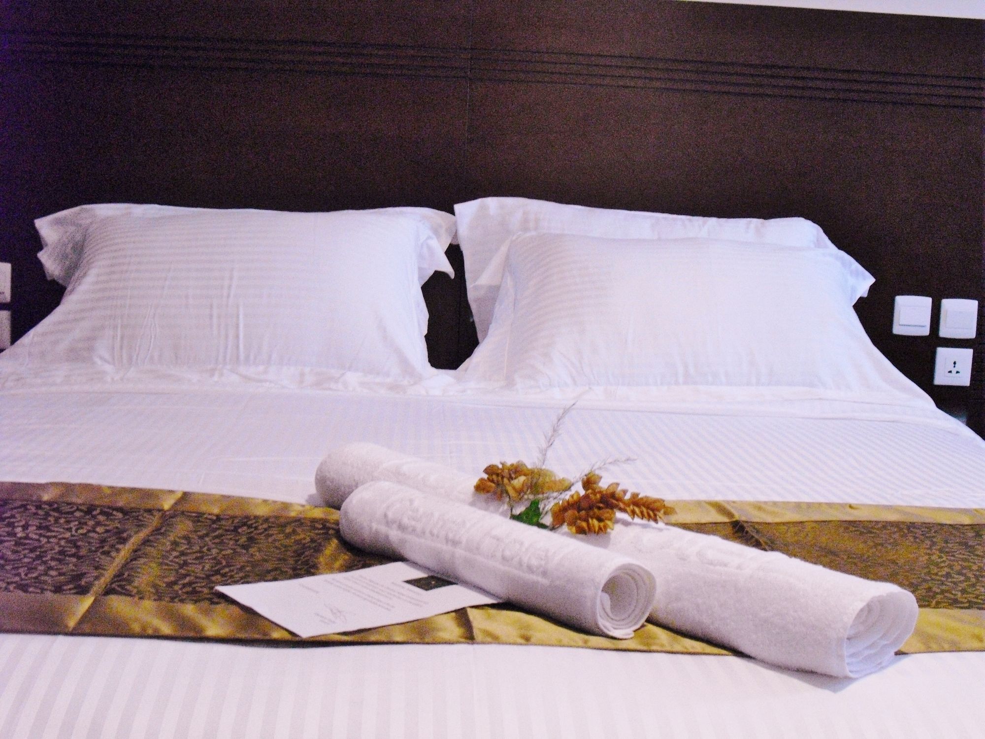 Фото Tana Hôtel