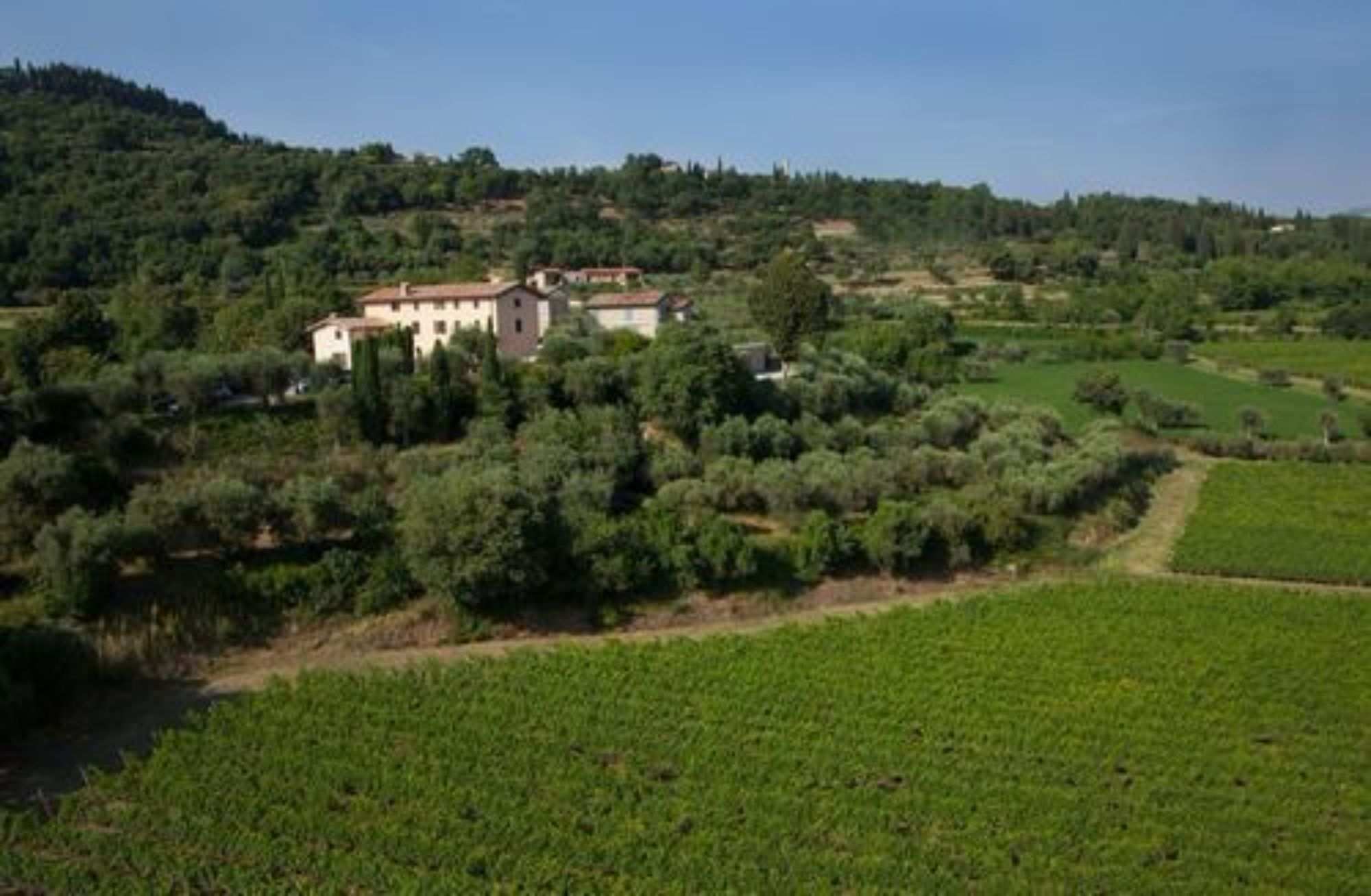 Фото Appartamenti Arca & Ca' Mure