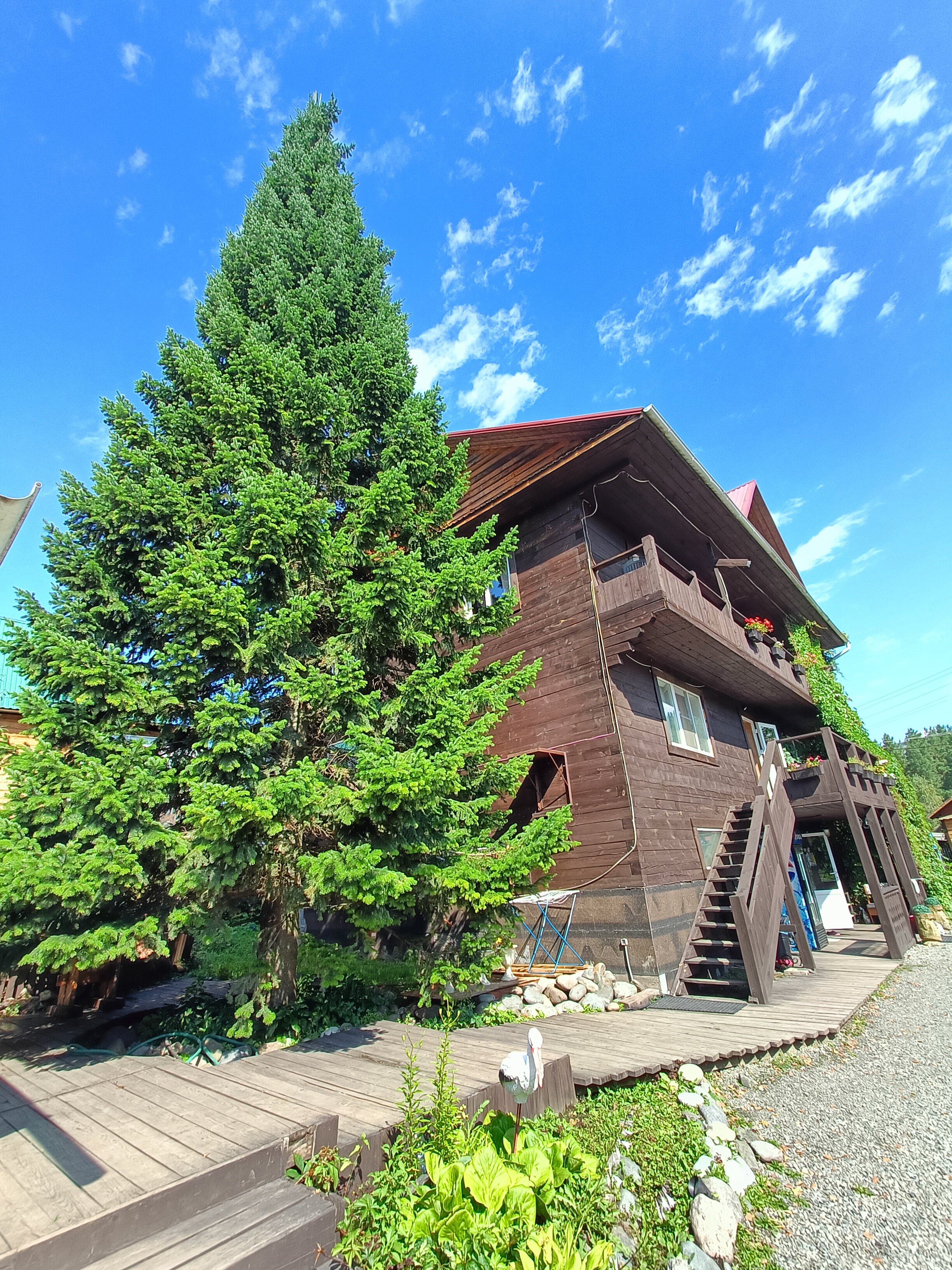 Фото Удачный