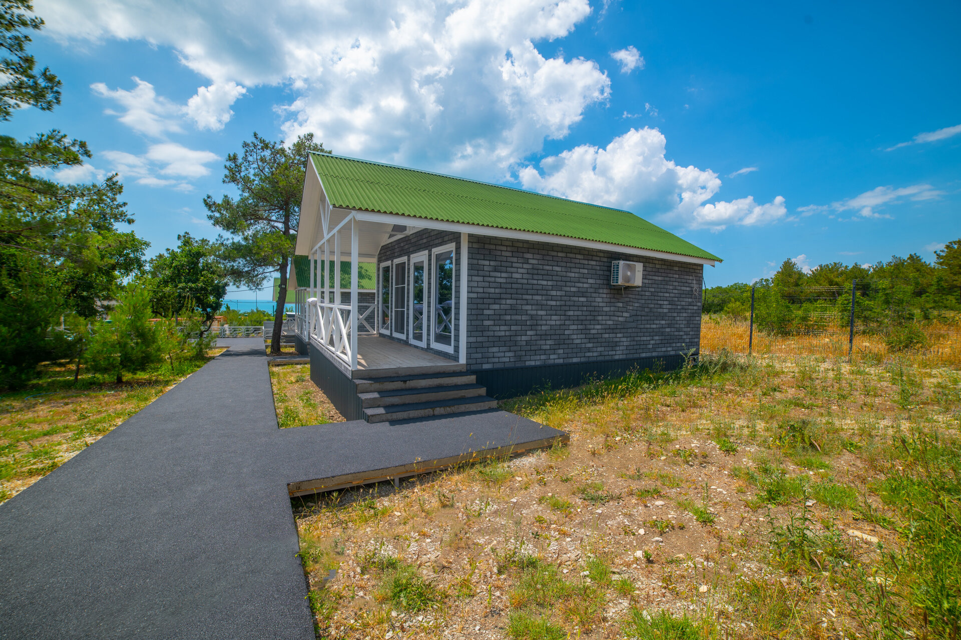 Фото Елки и Иголки