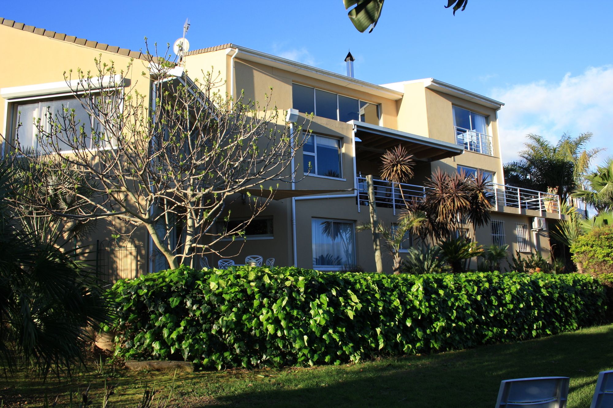 Фото African Dreams Guest House