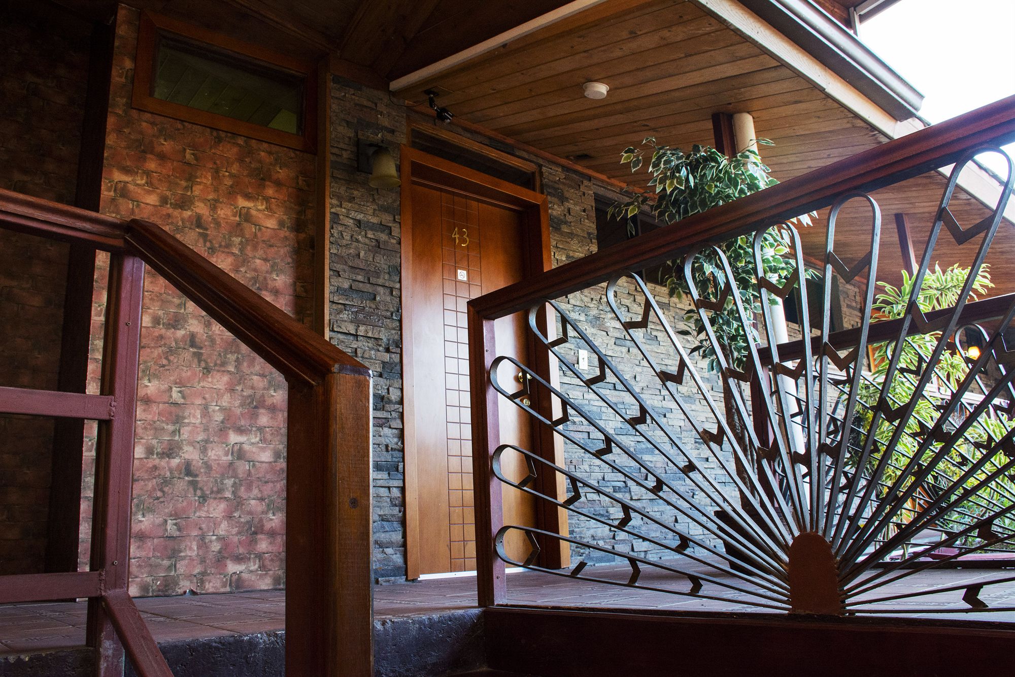 Фото B & B Comfy Inn