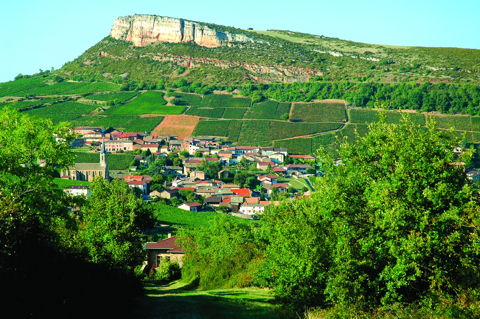 Фото Mercure Macon Bord de Saone