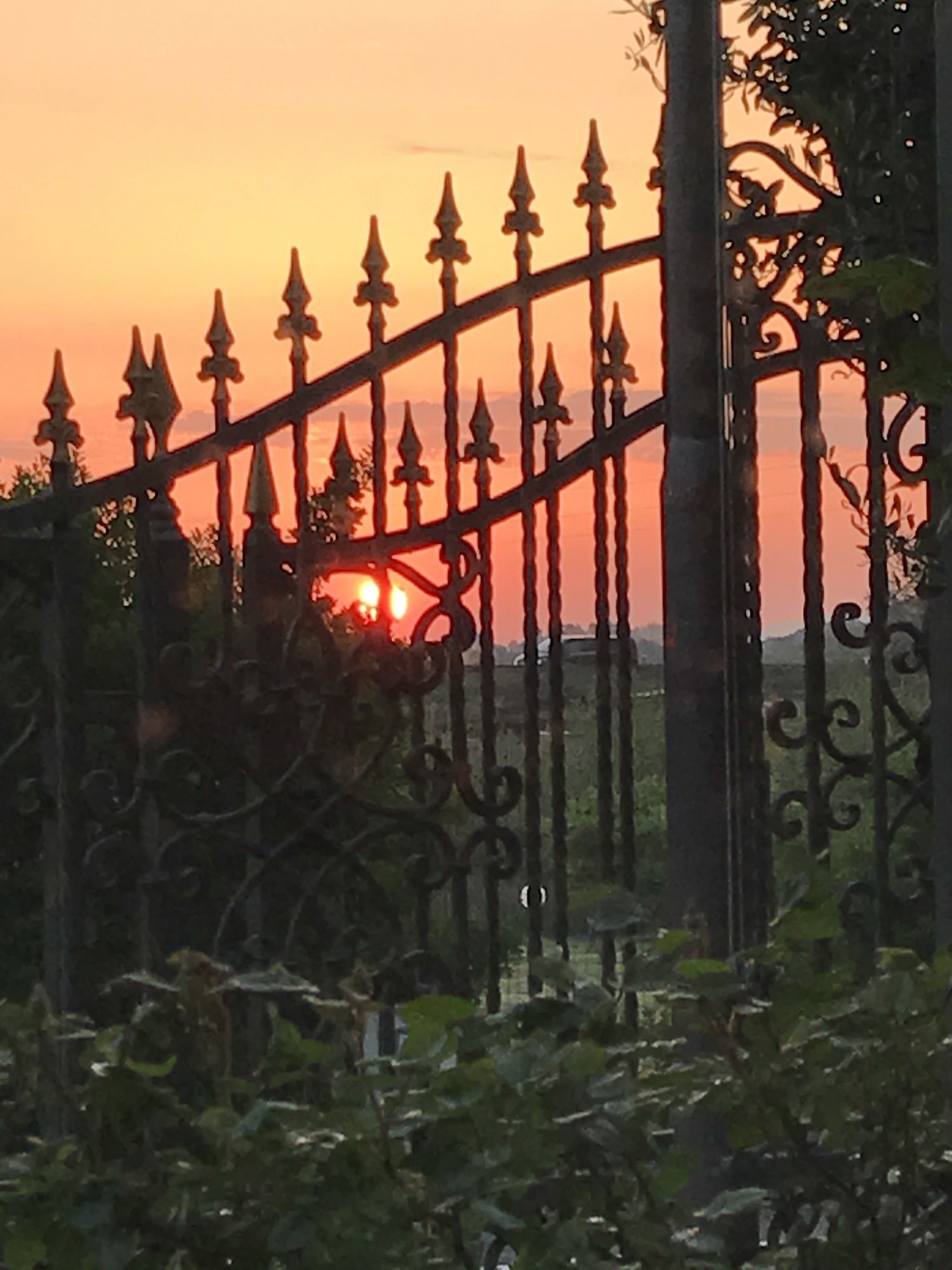 Фото Euro House Inn Airport Hotel & Residence