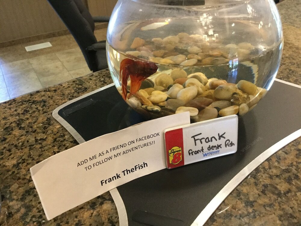 Фото Super 8 by Wyndham Edson