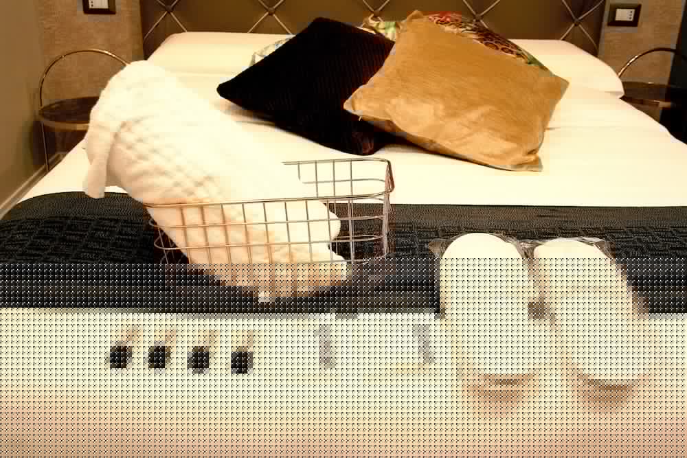 Фото Hotel Roma Vaticano