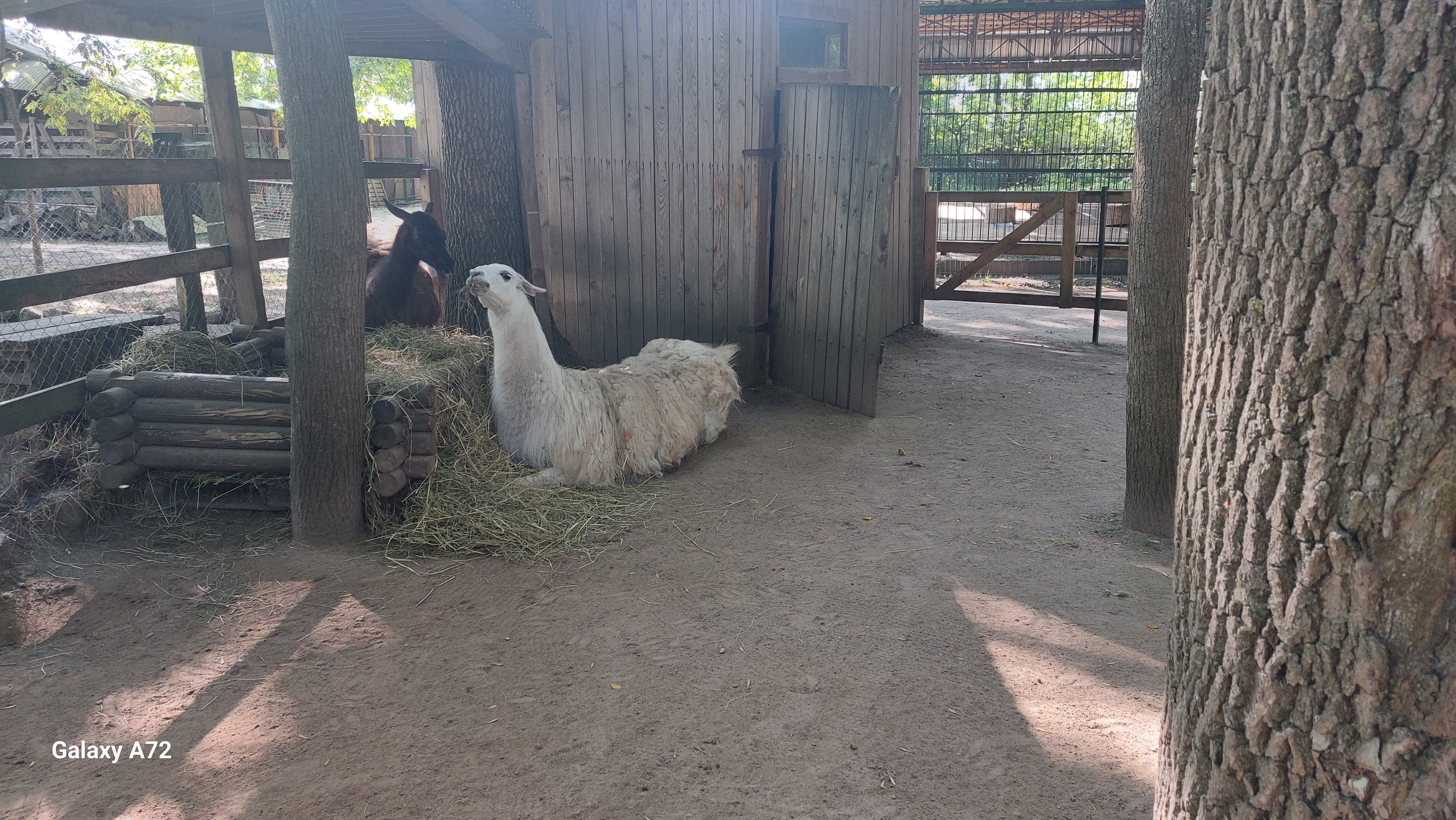 Фото Отель Smart Boutique Hotel&Restaurant