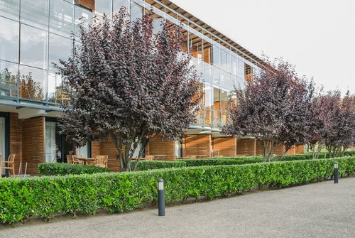 Гостиница Pierre & Vacances Residence Le Moulin des Cordeliers Loches в Лоше