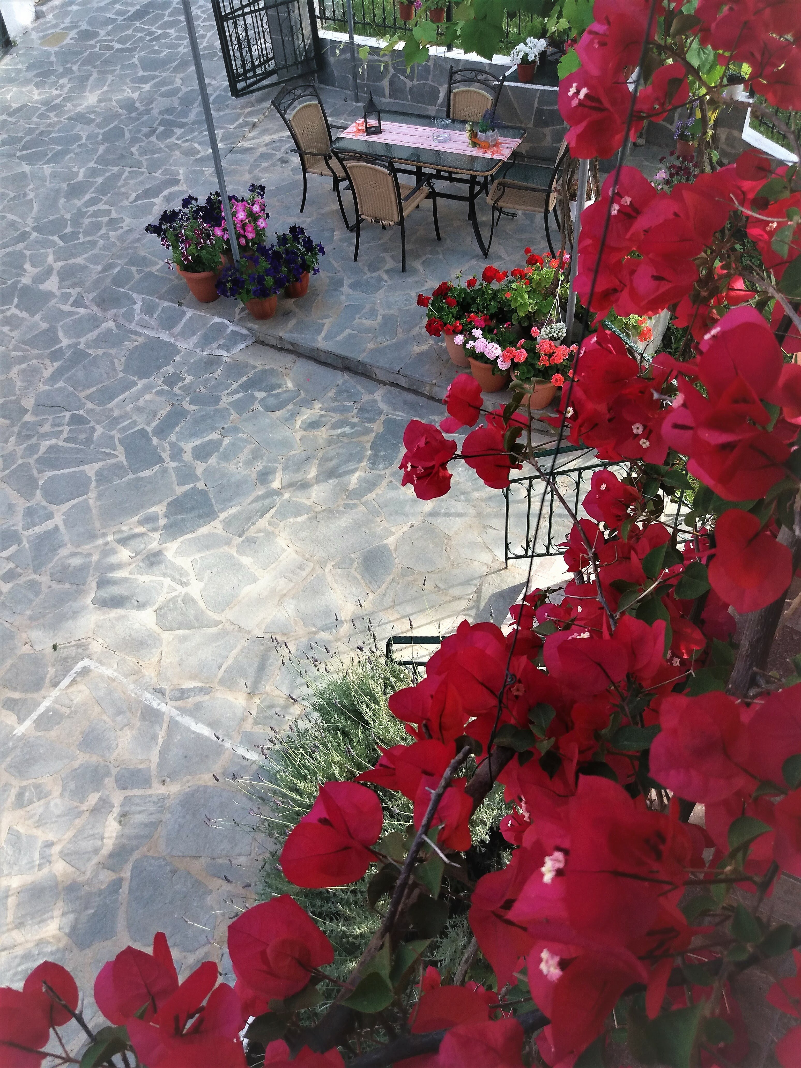 Фото Ziogas Apartments