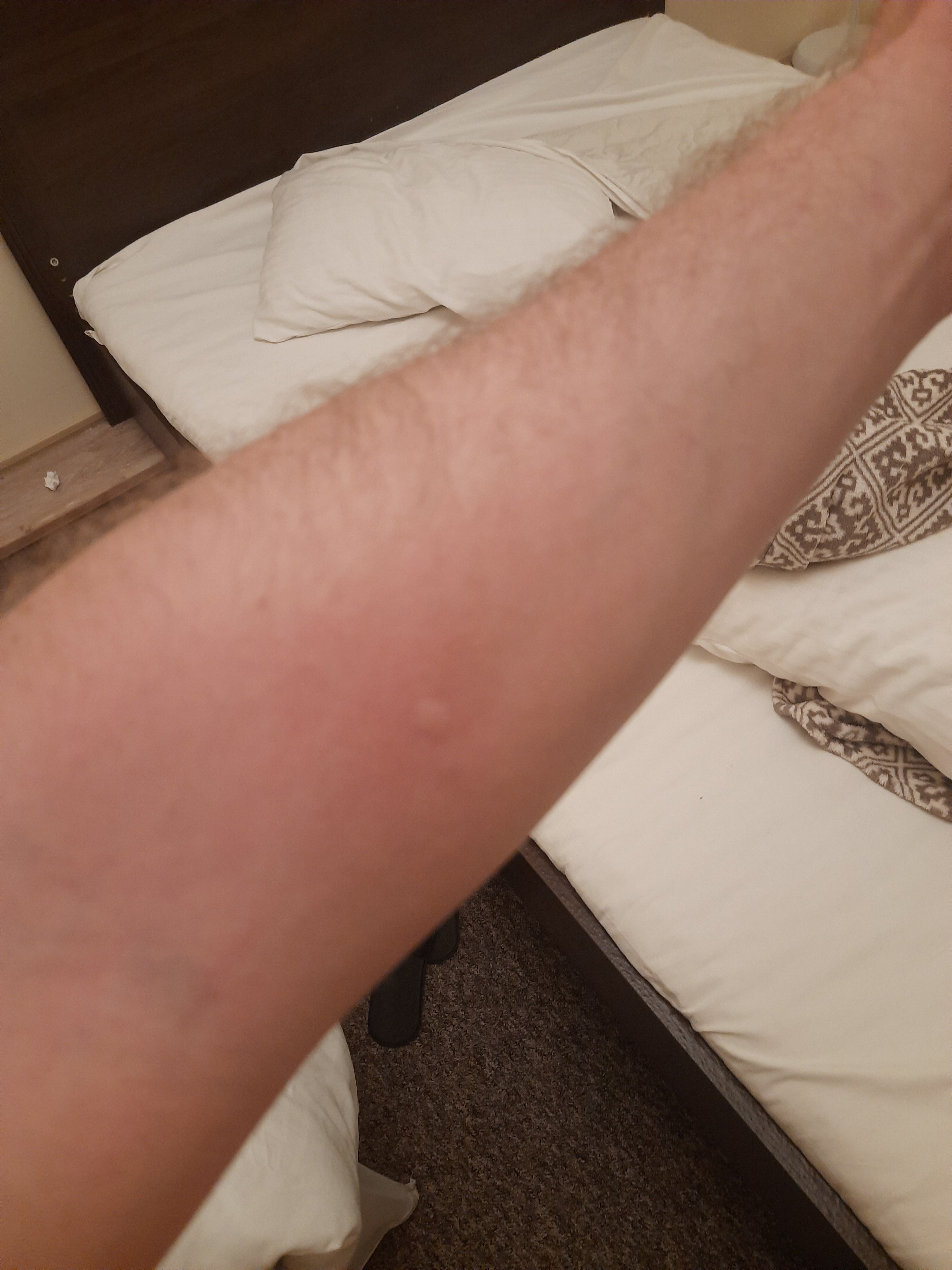 Фото Отель 1812