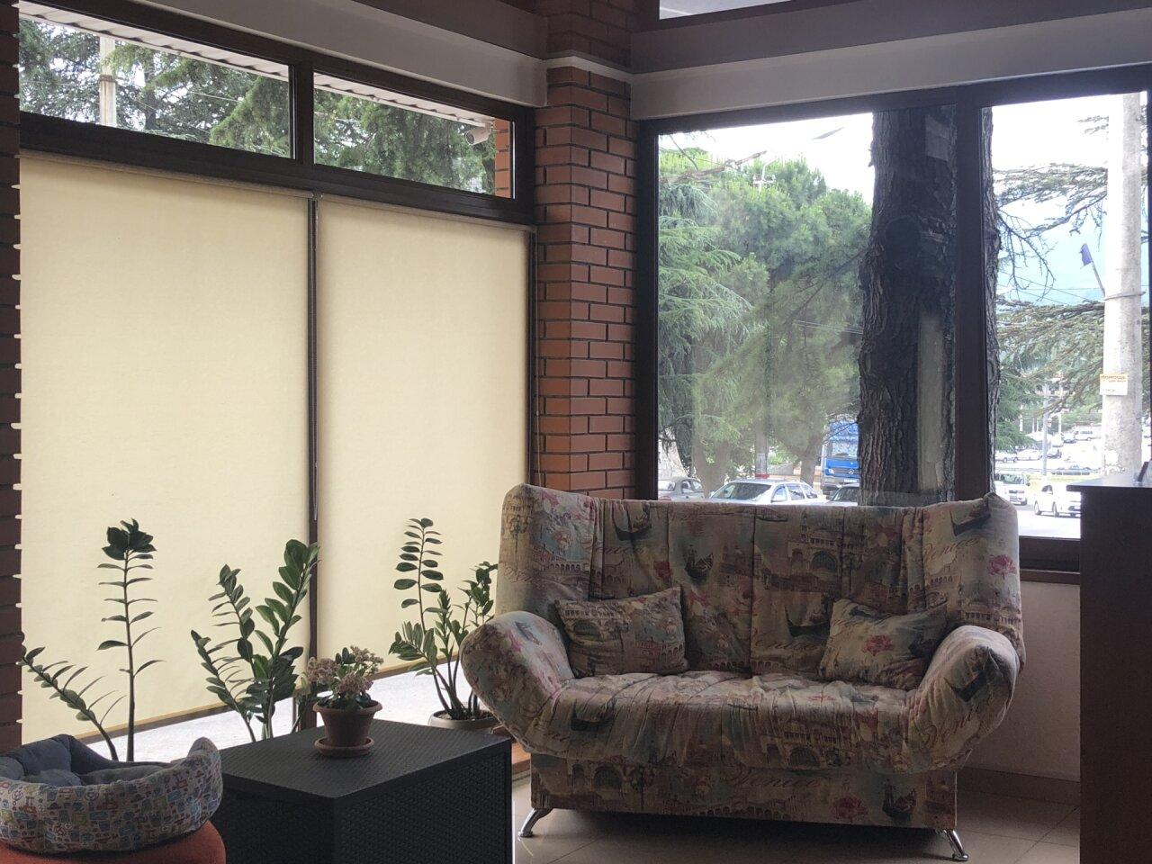 Фото Папайя