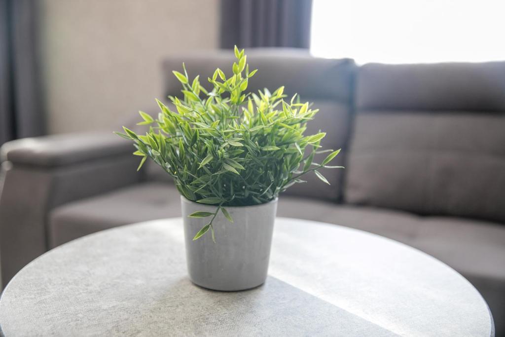 Фото Гранд Стори